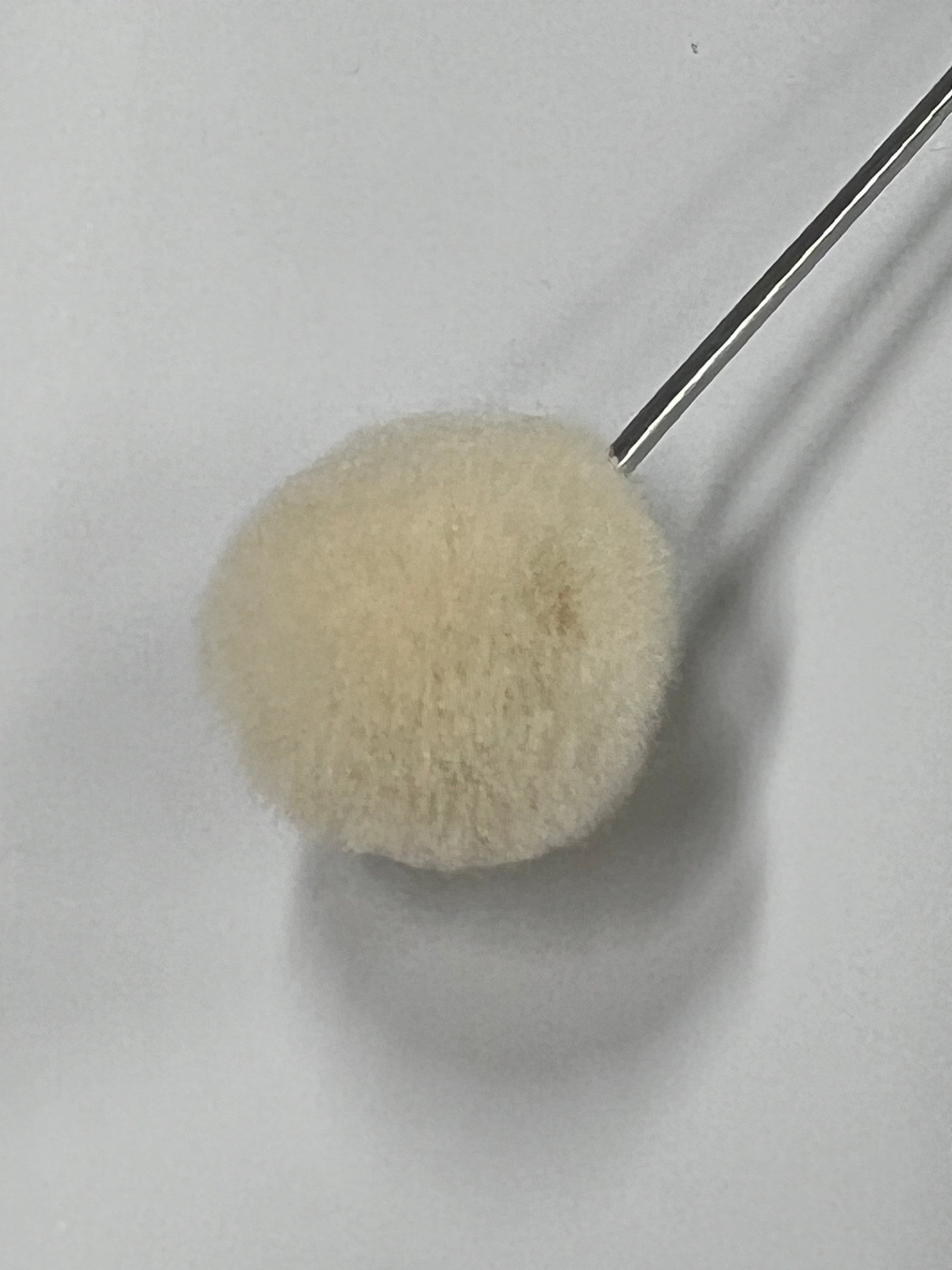 Ullborste 20mm för färgning av läder (10-pack)