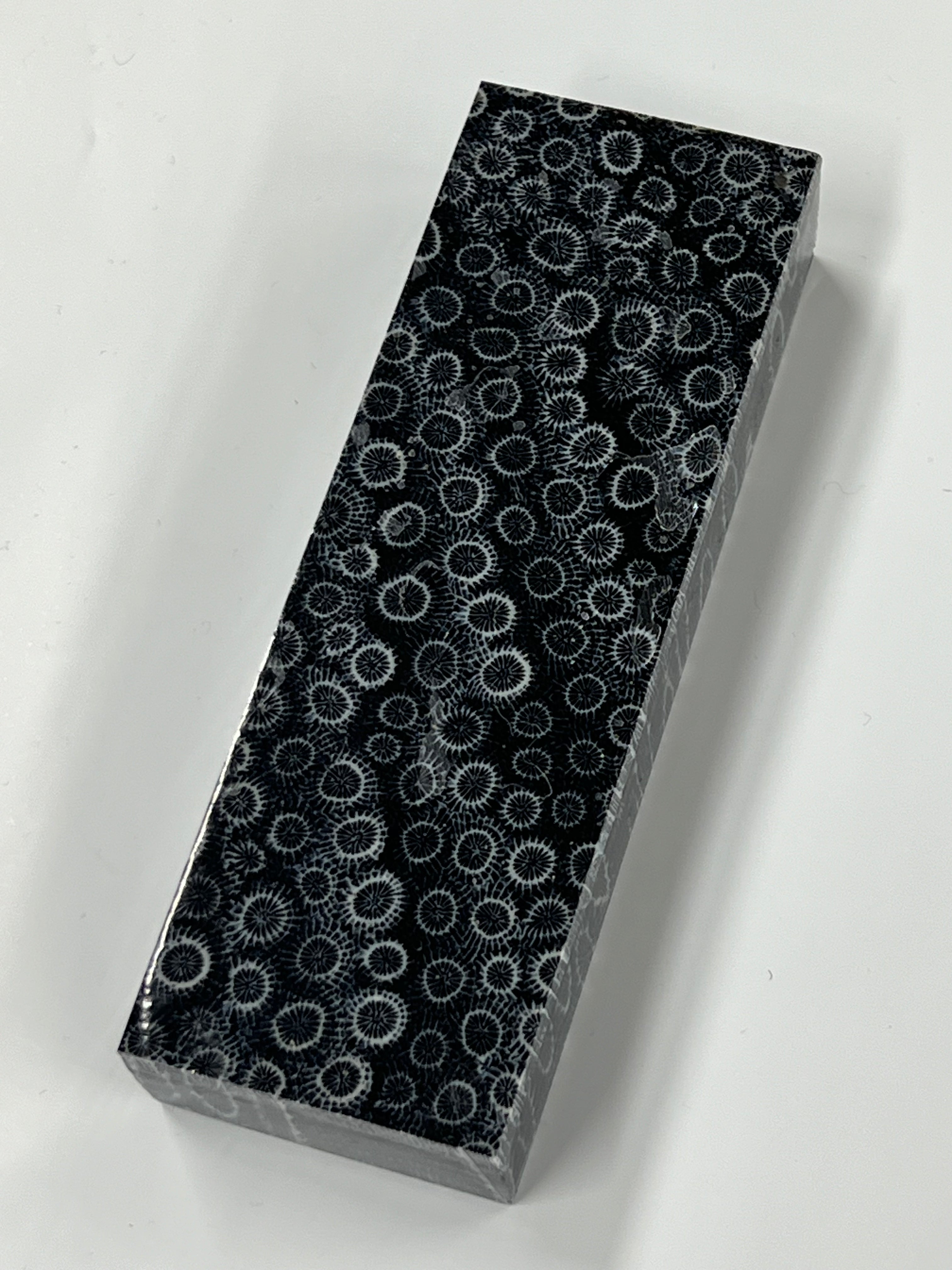 Fossil Korall skaftblank K3 (svart)