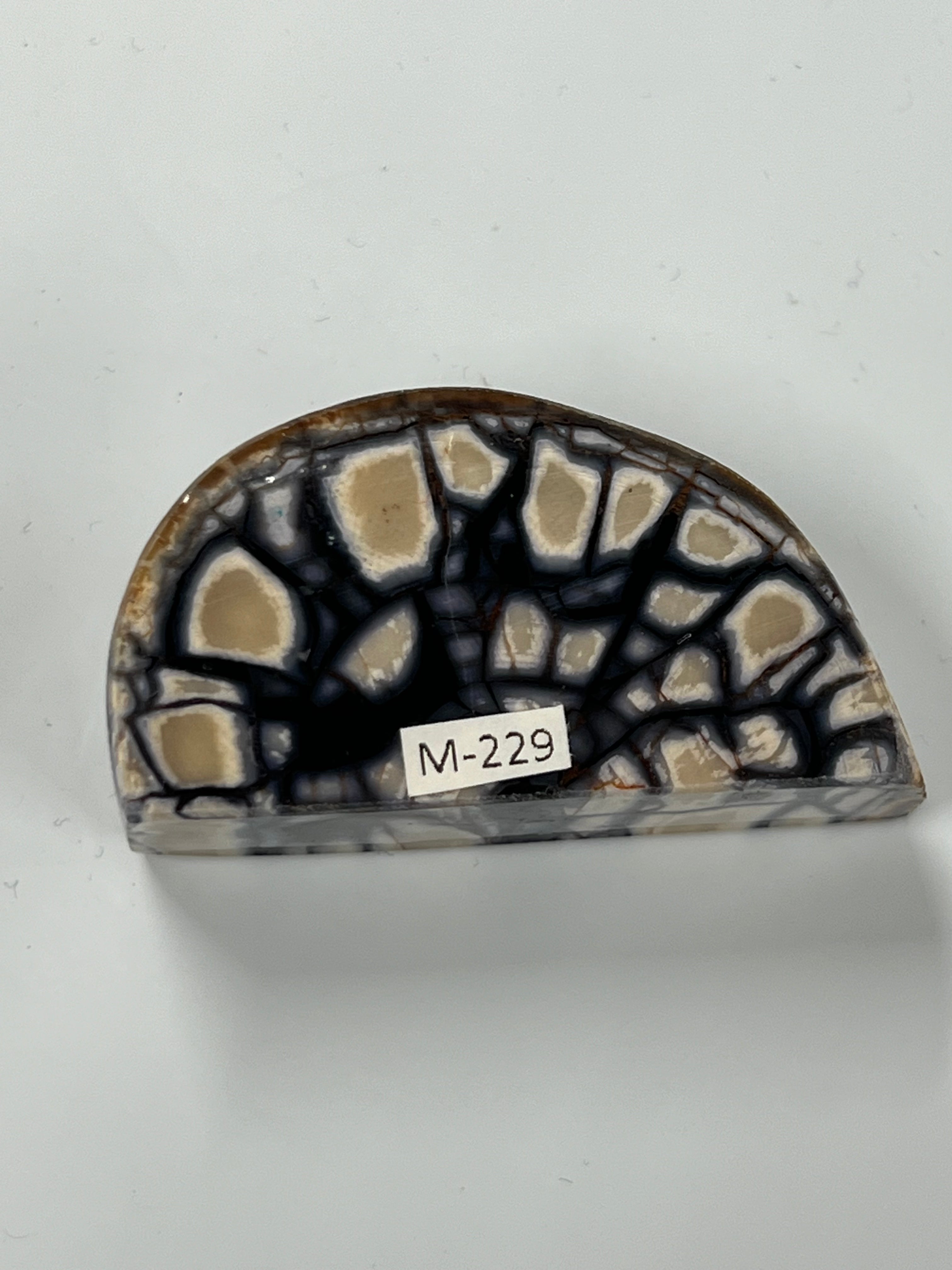 Mammut støttann emne M229