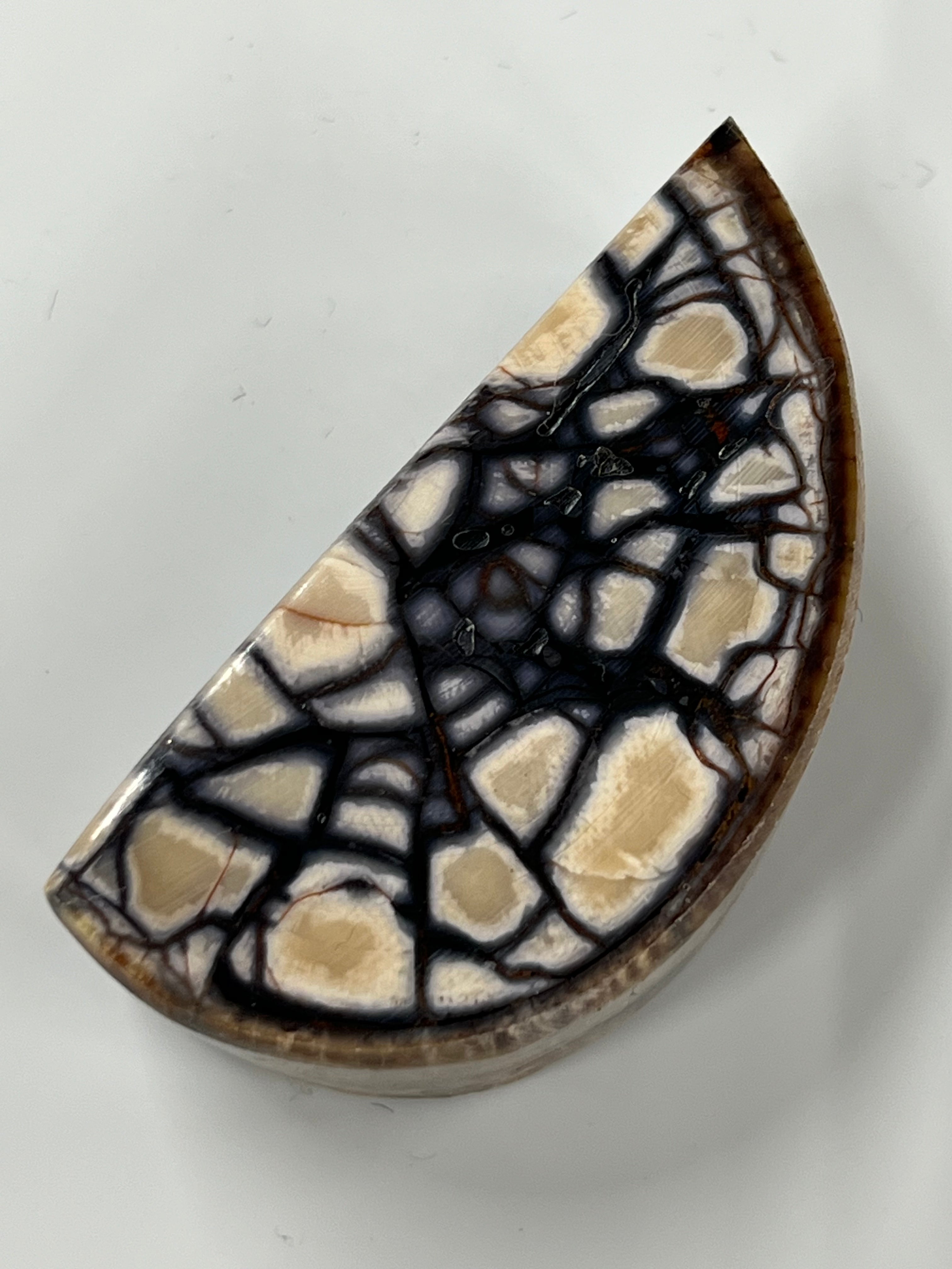 Mammutbeteämne M229