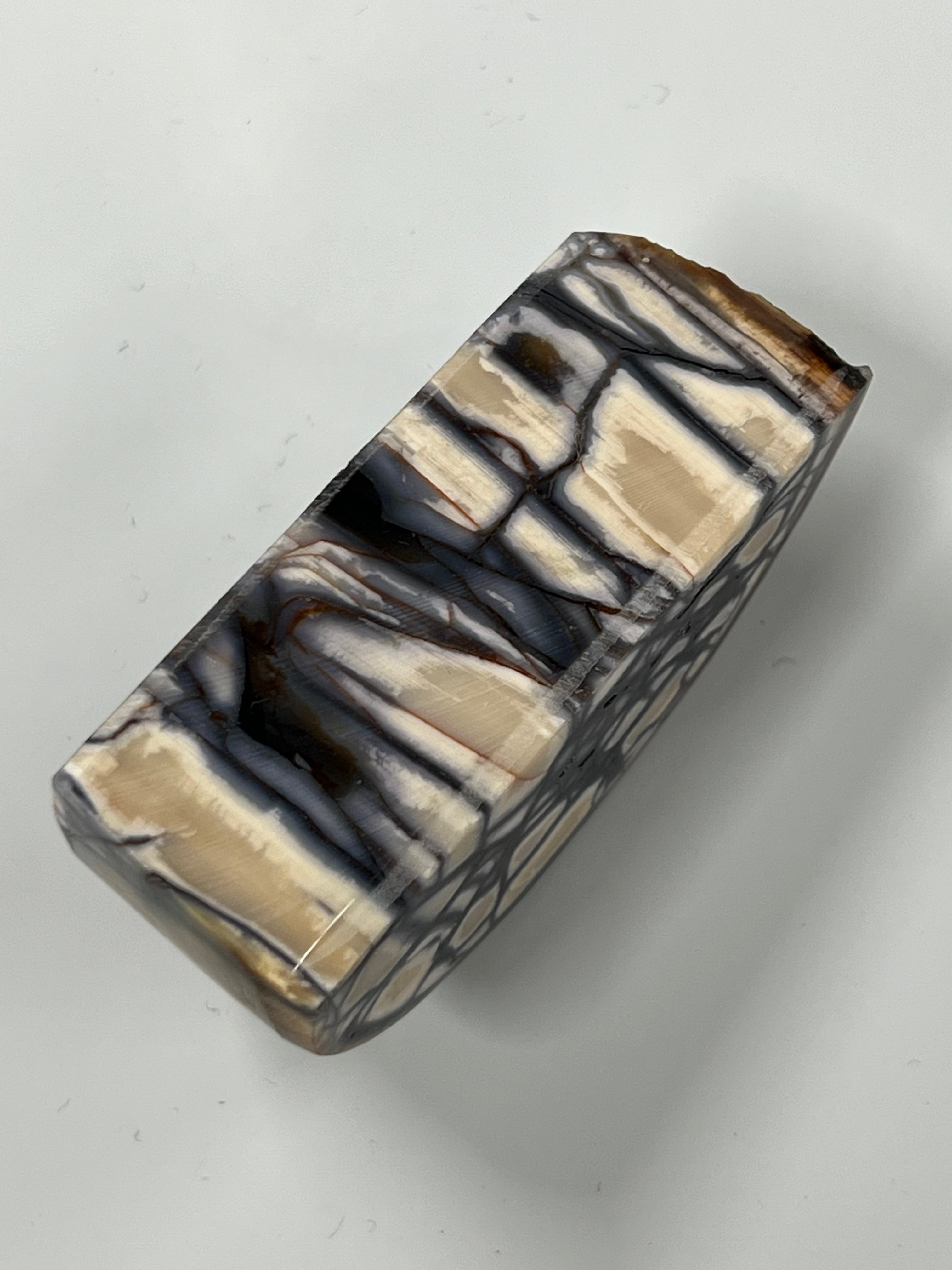 Mammutbeteämne M229