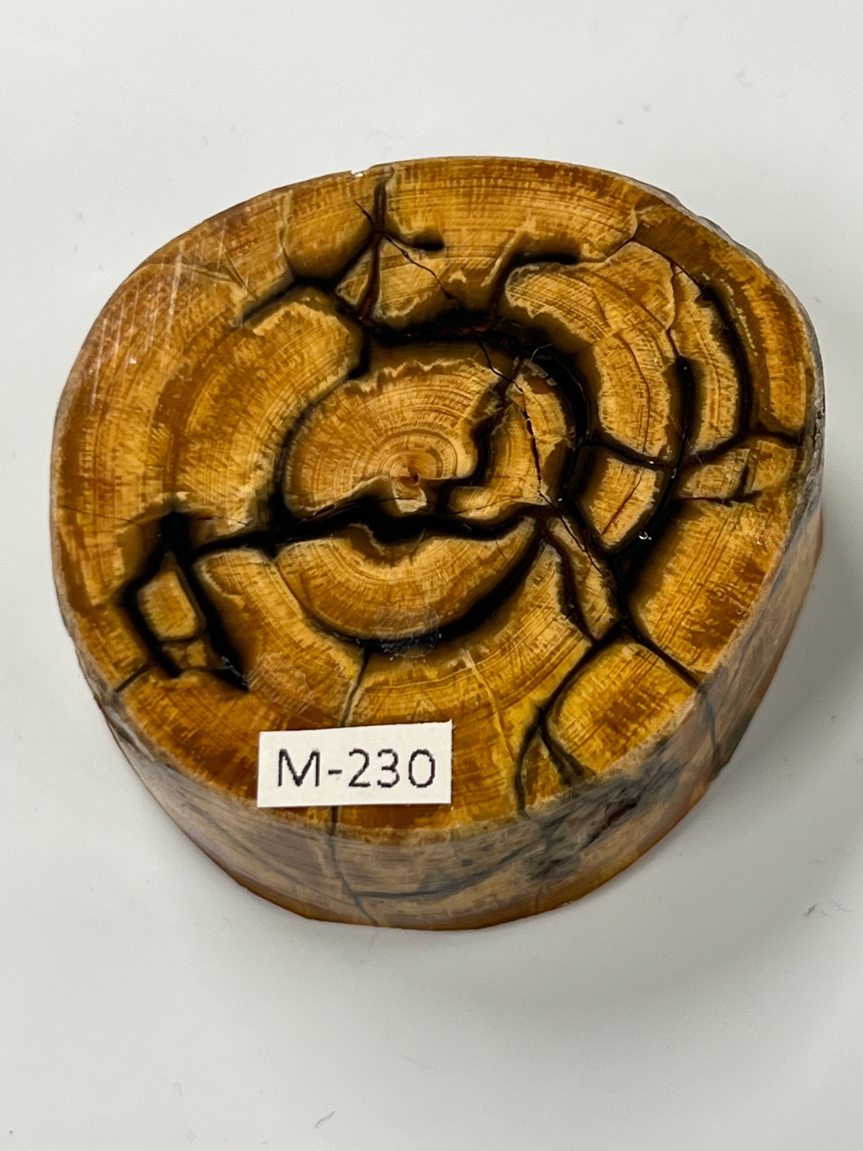 Mammutbeteämne M230