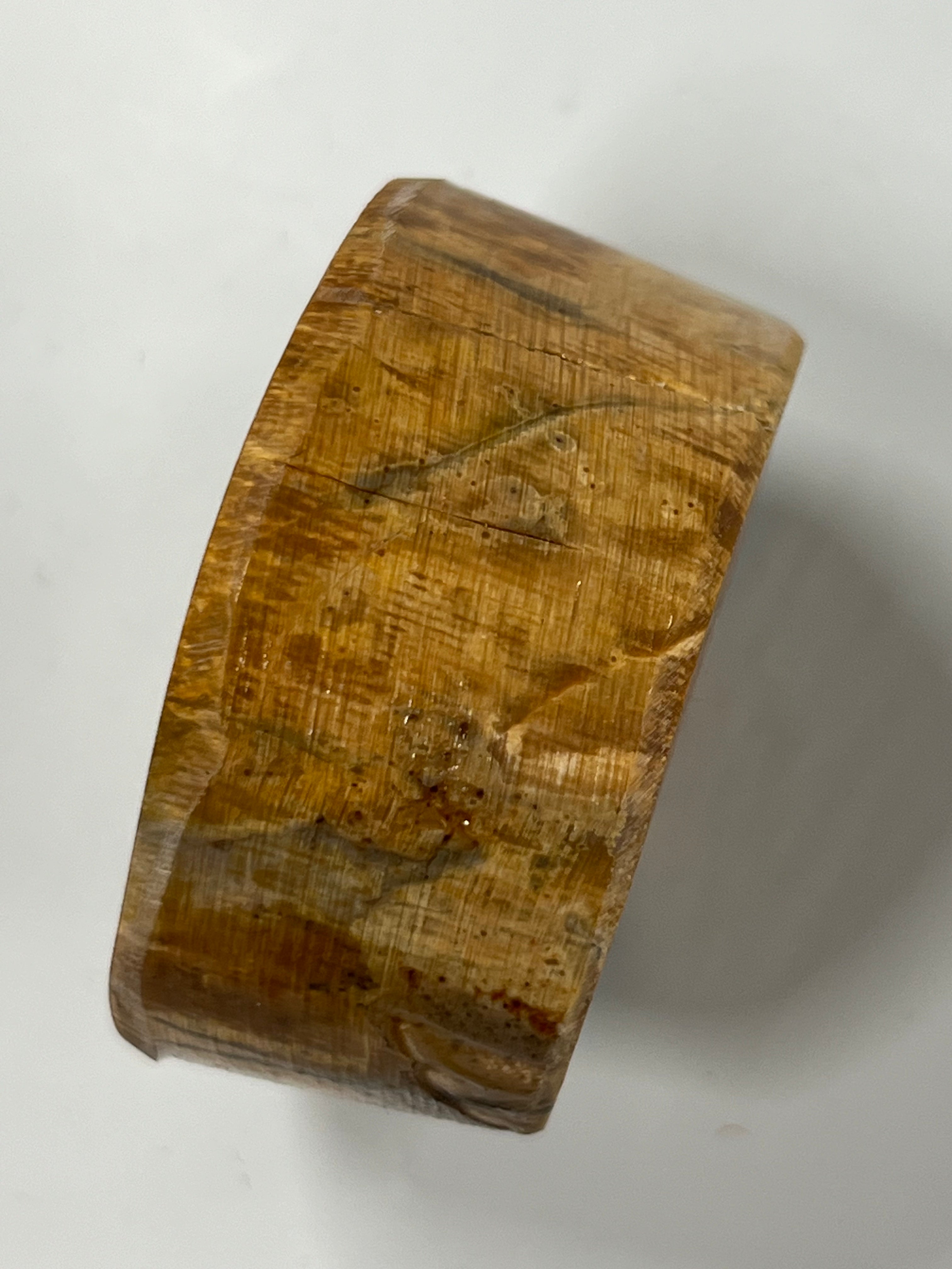 Mammutbeteämne M230