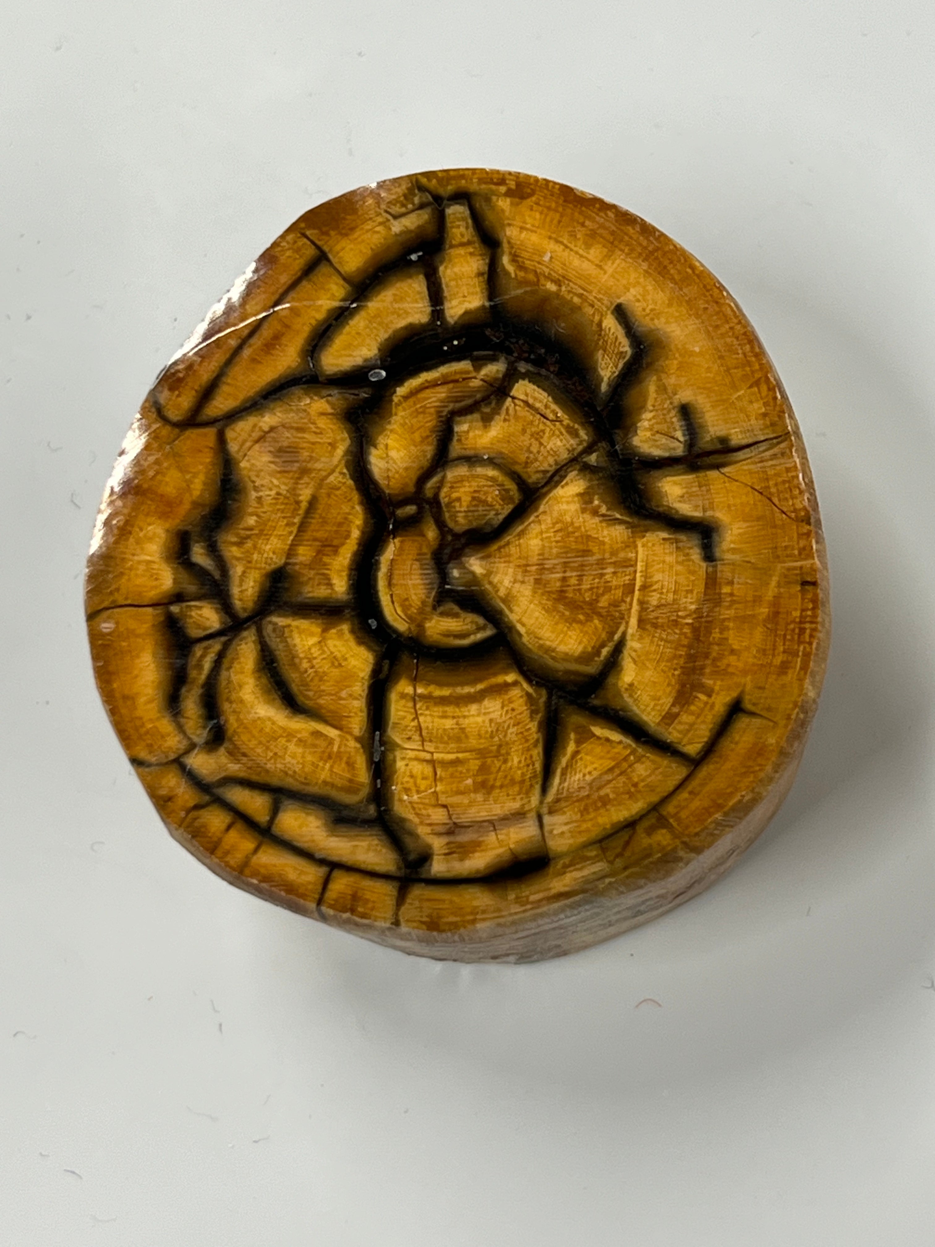 Mammutbeteämne M230