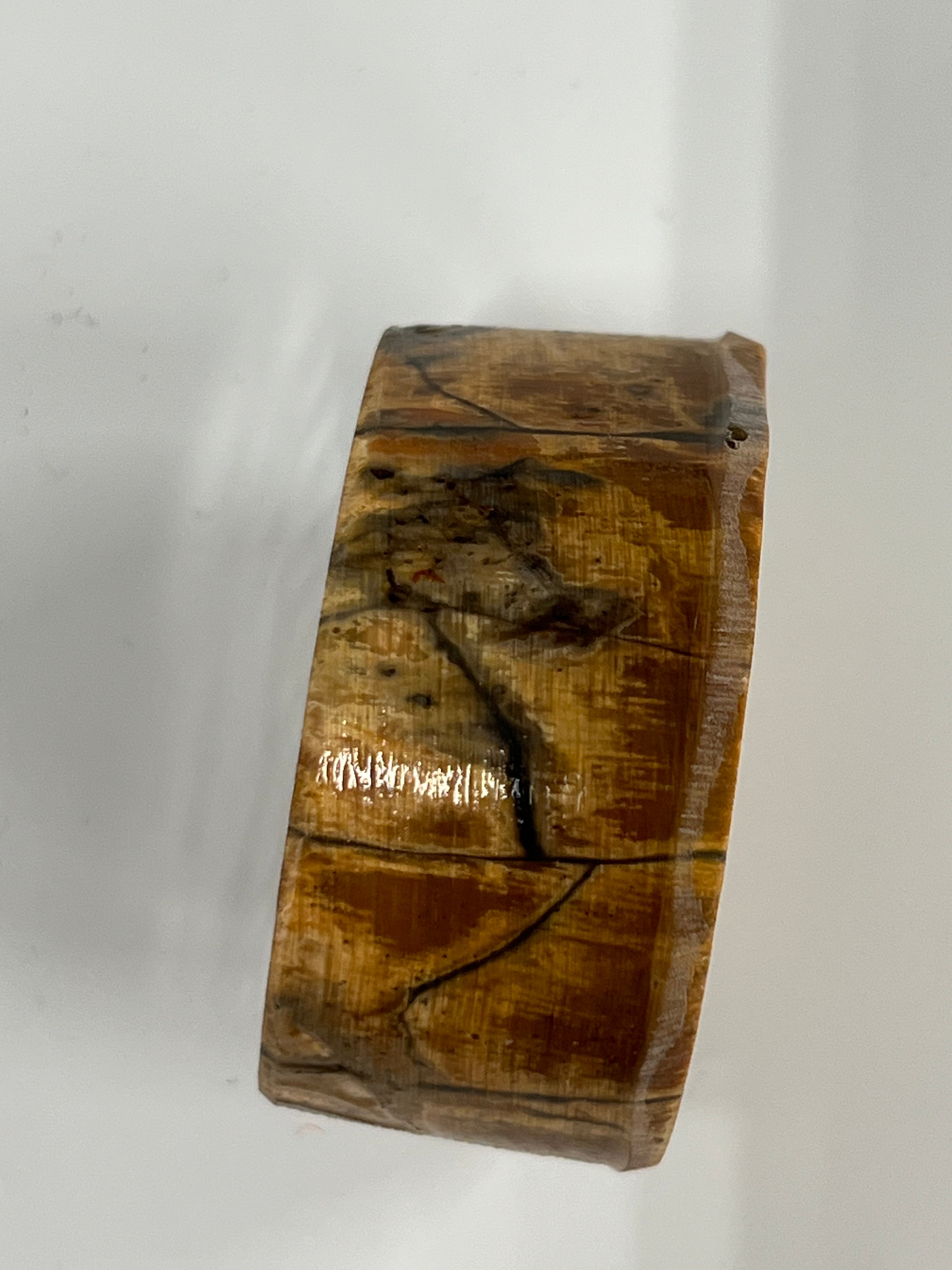 Mammutbeteämne M230