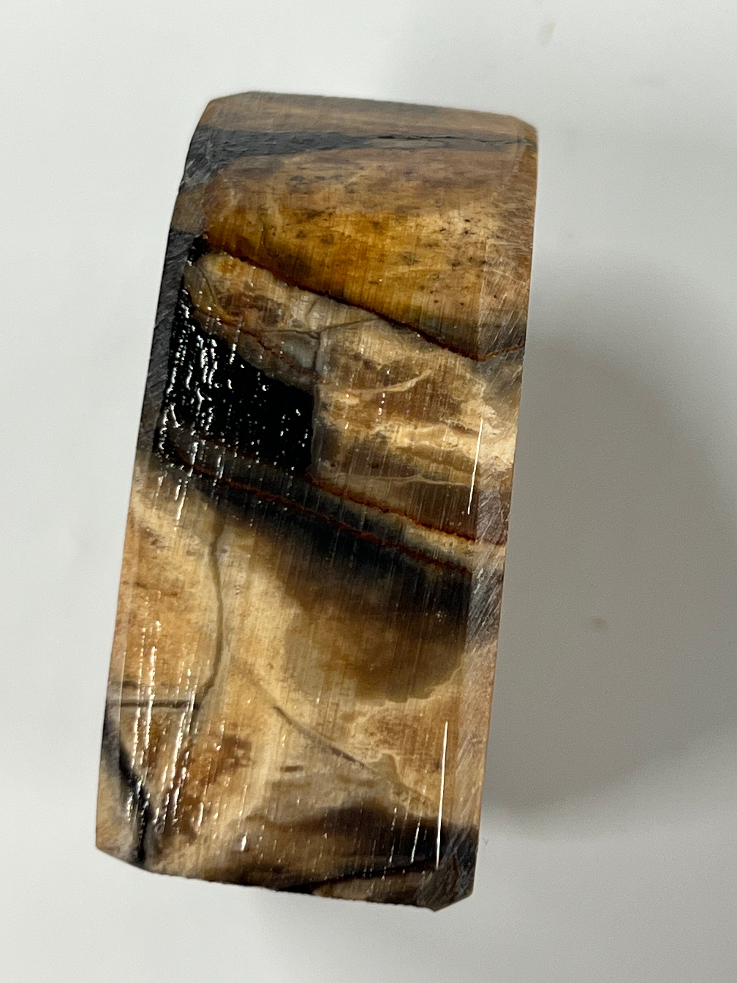 Mammutbeteämne M231