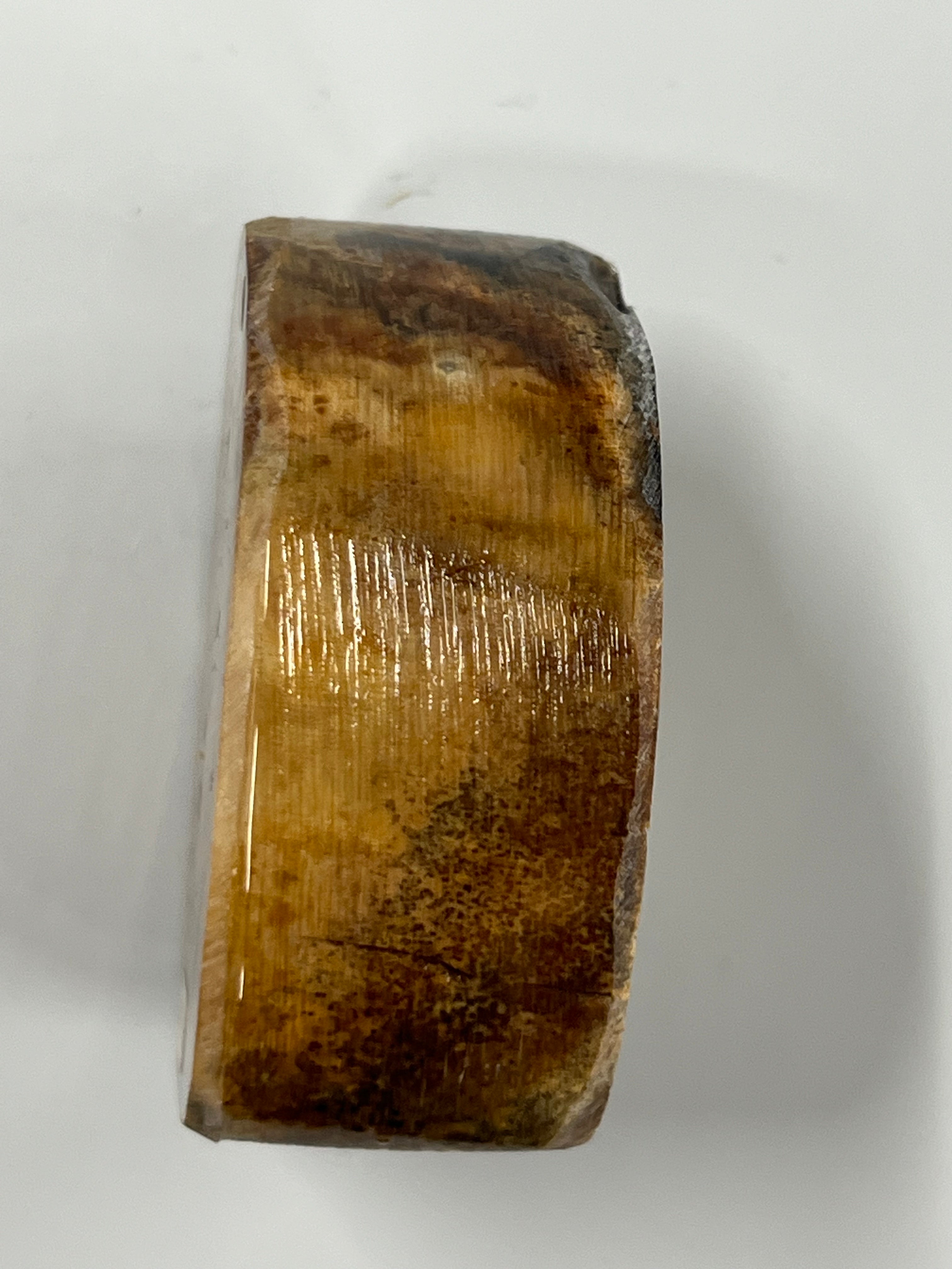 Mammutbeteämne M231