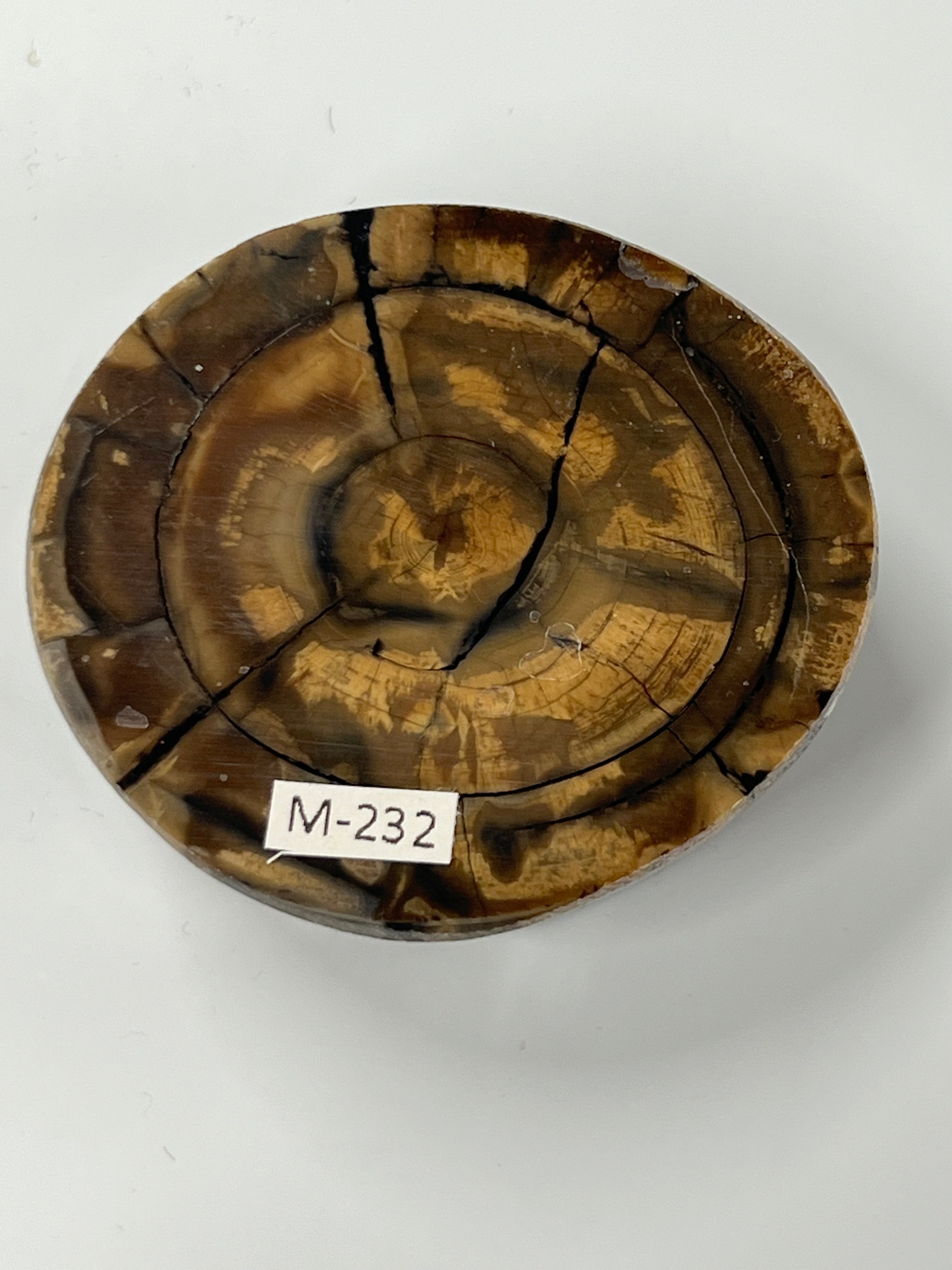 Mammut støttann emne M232