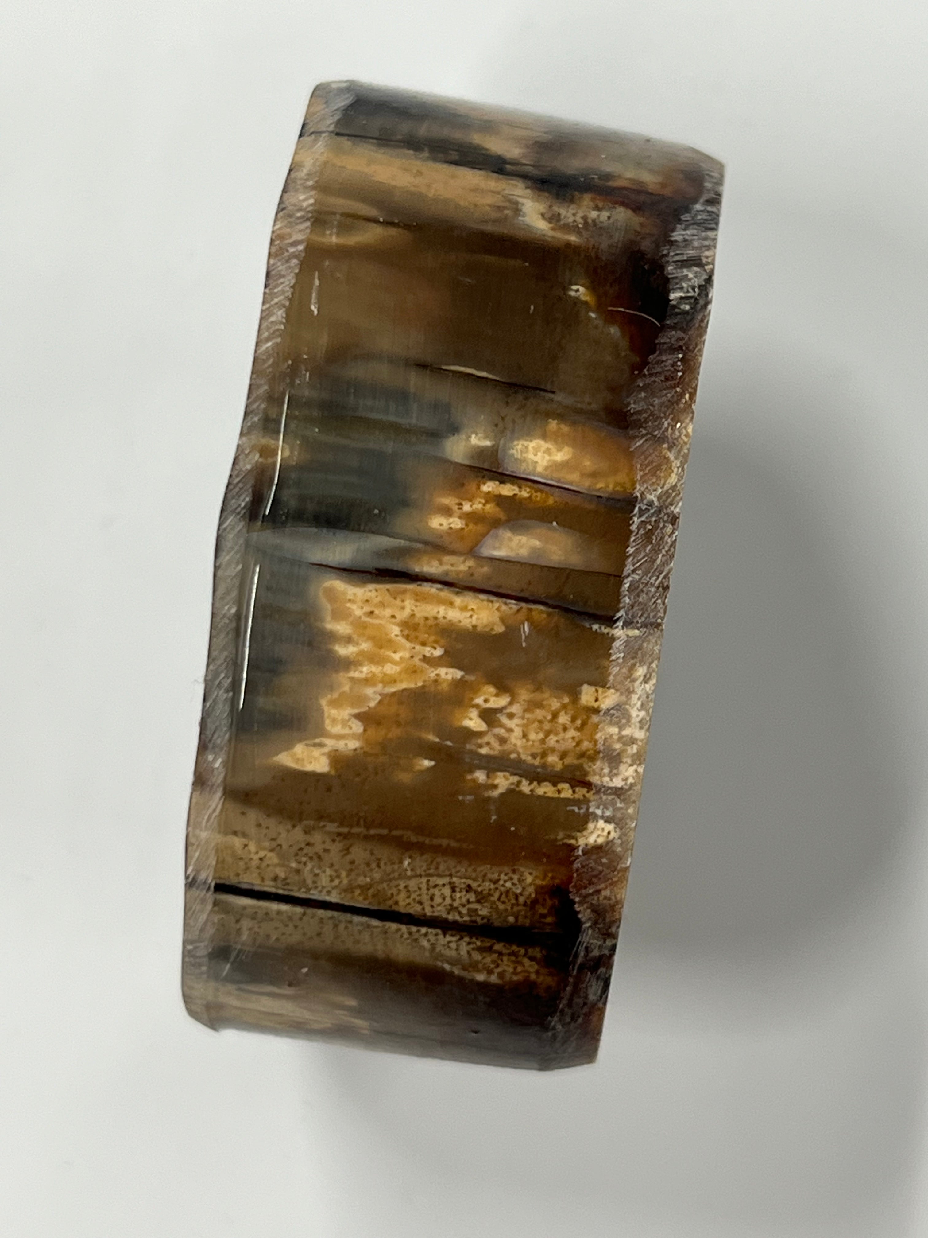 Mammut støttann emne M232