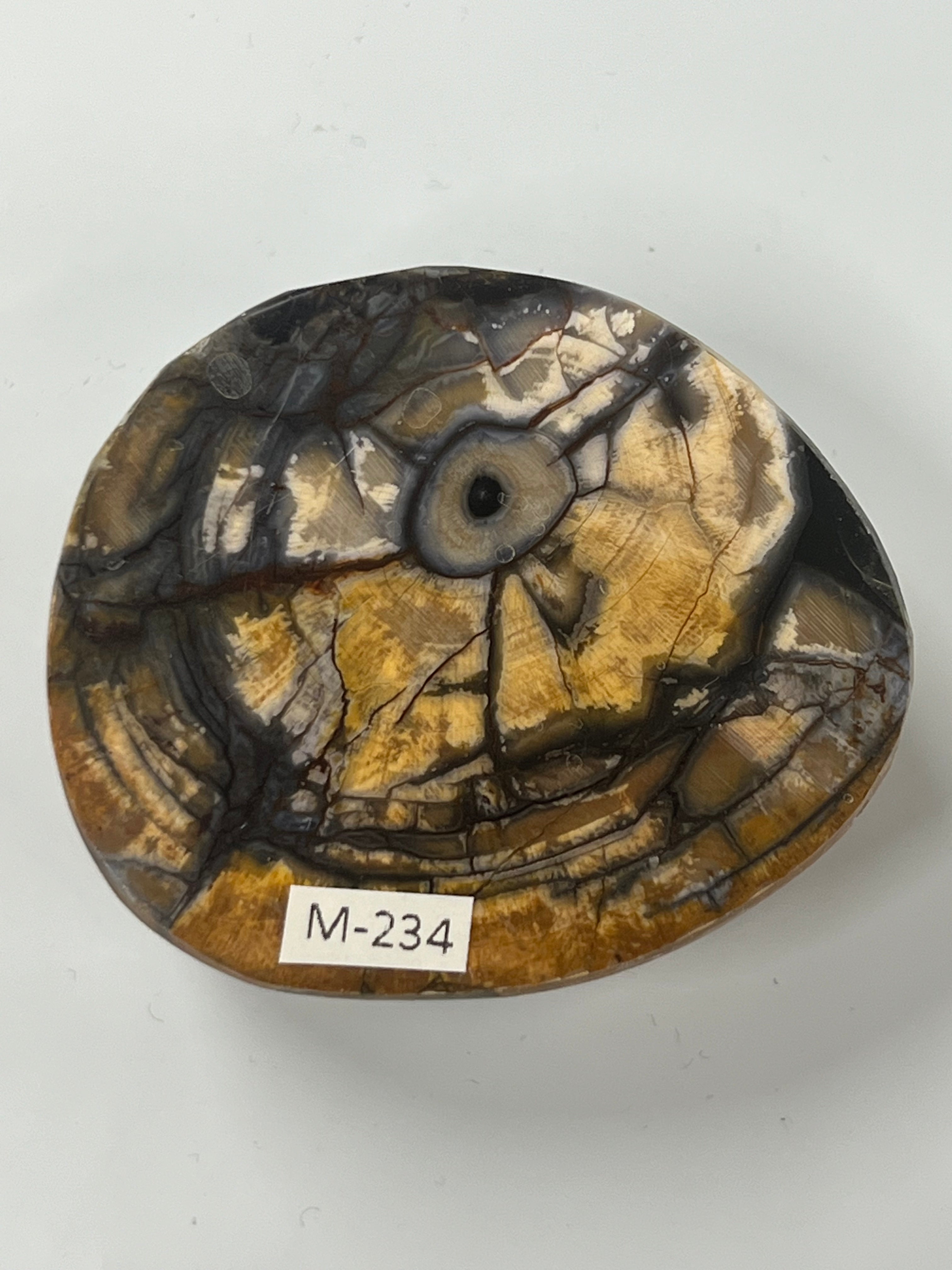 Mammutbeteämne M234