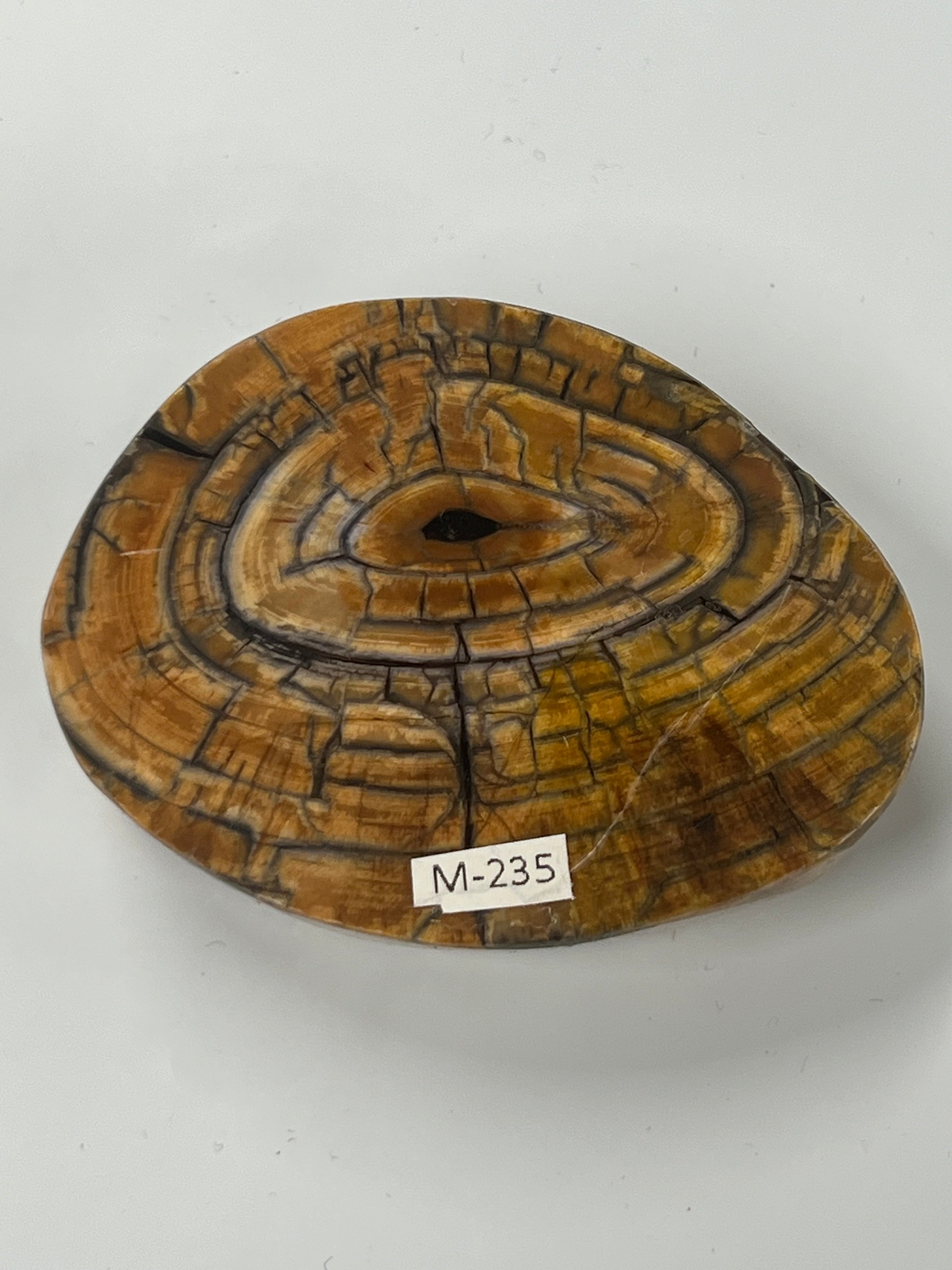 Mammutbeteämne M235