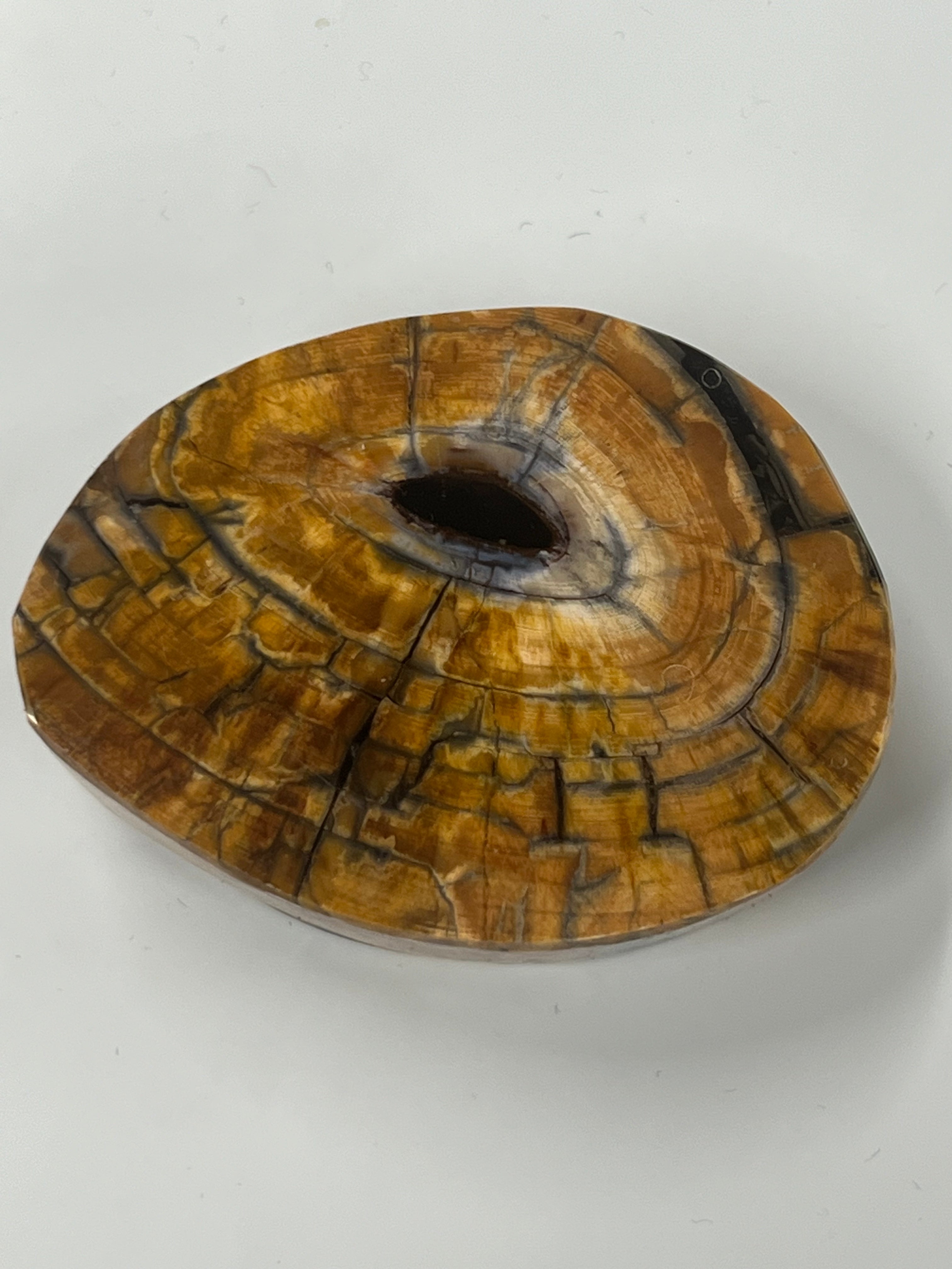 Mammutbeteämne M235