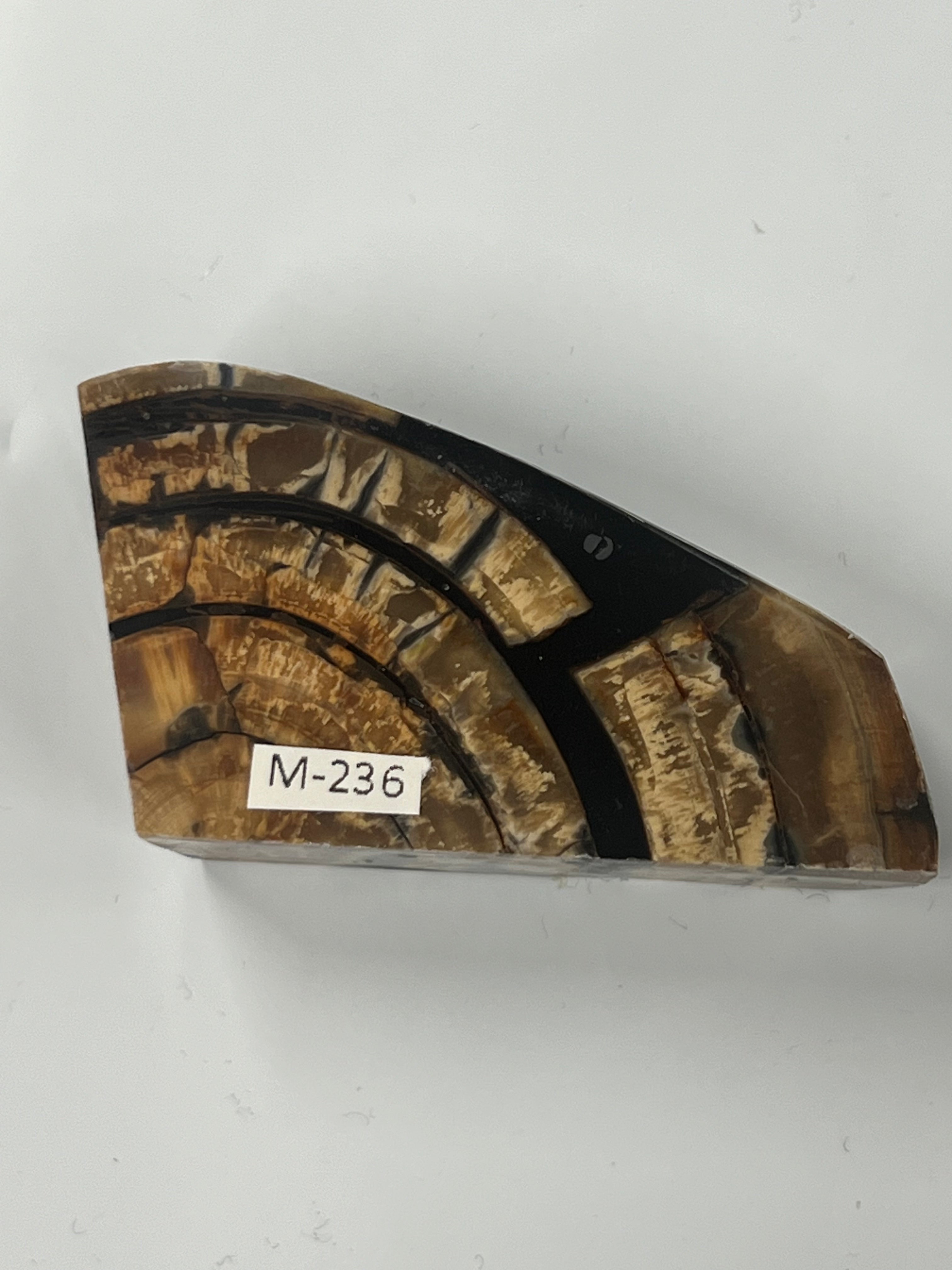 Mammutbeteämne M236