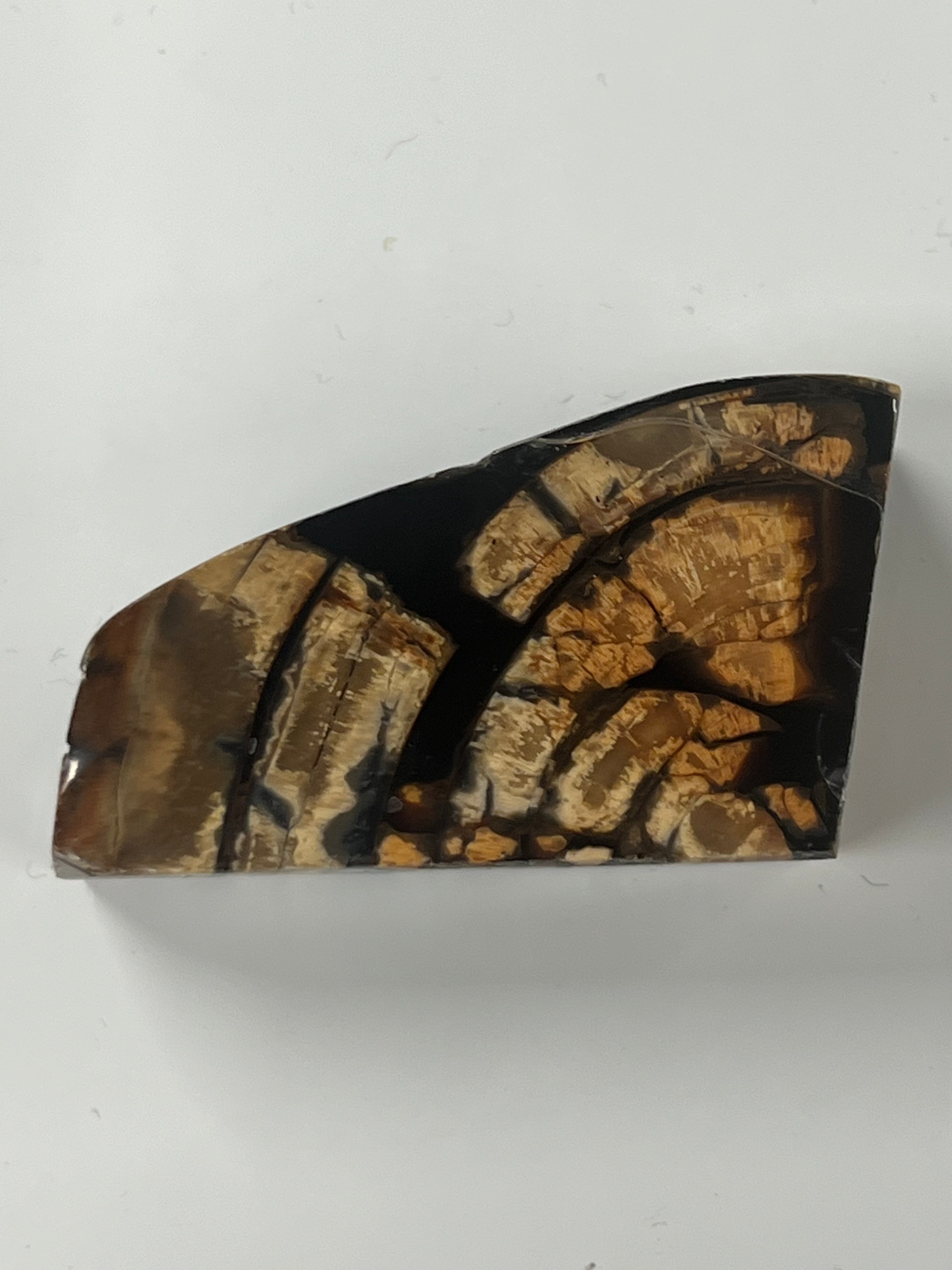 Mammutbeteämne M236