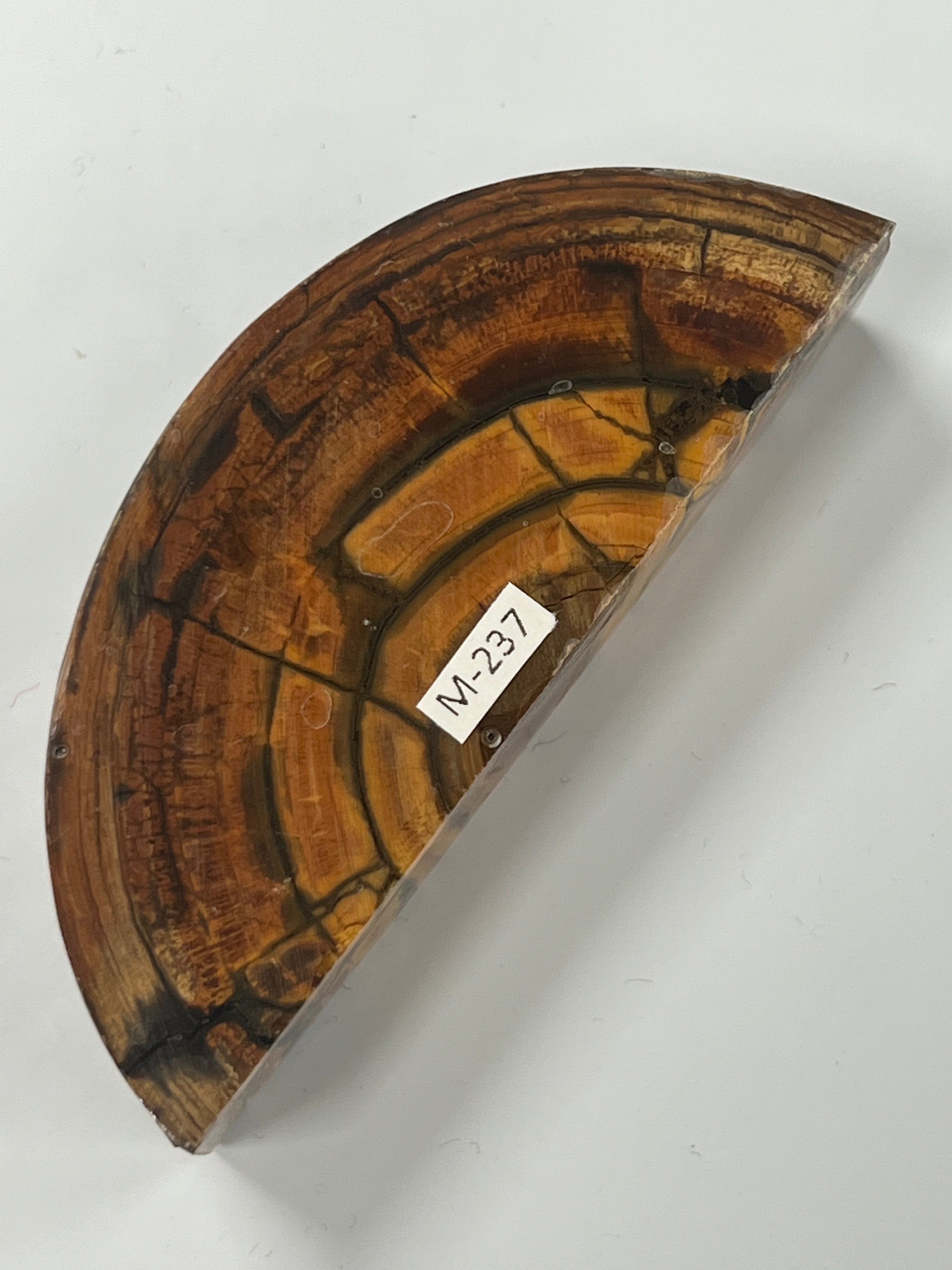 Mammutbeteämne M237