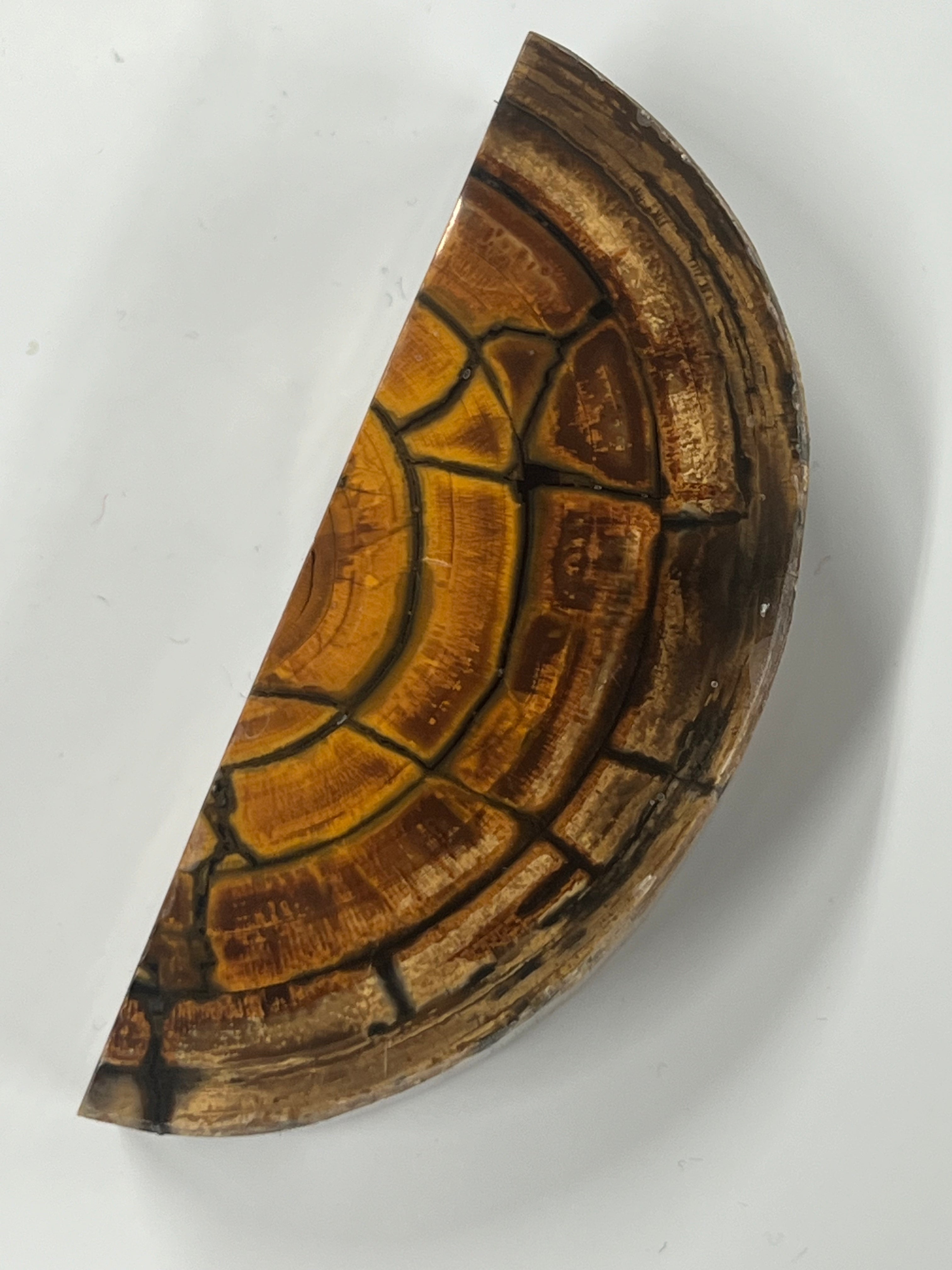 Mammutbeteämne M237