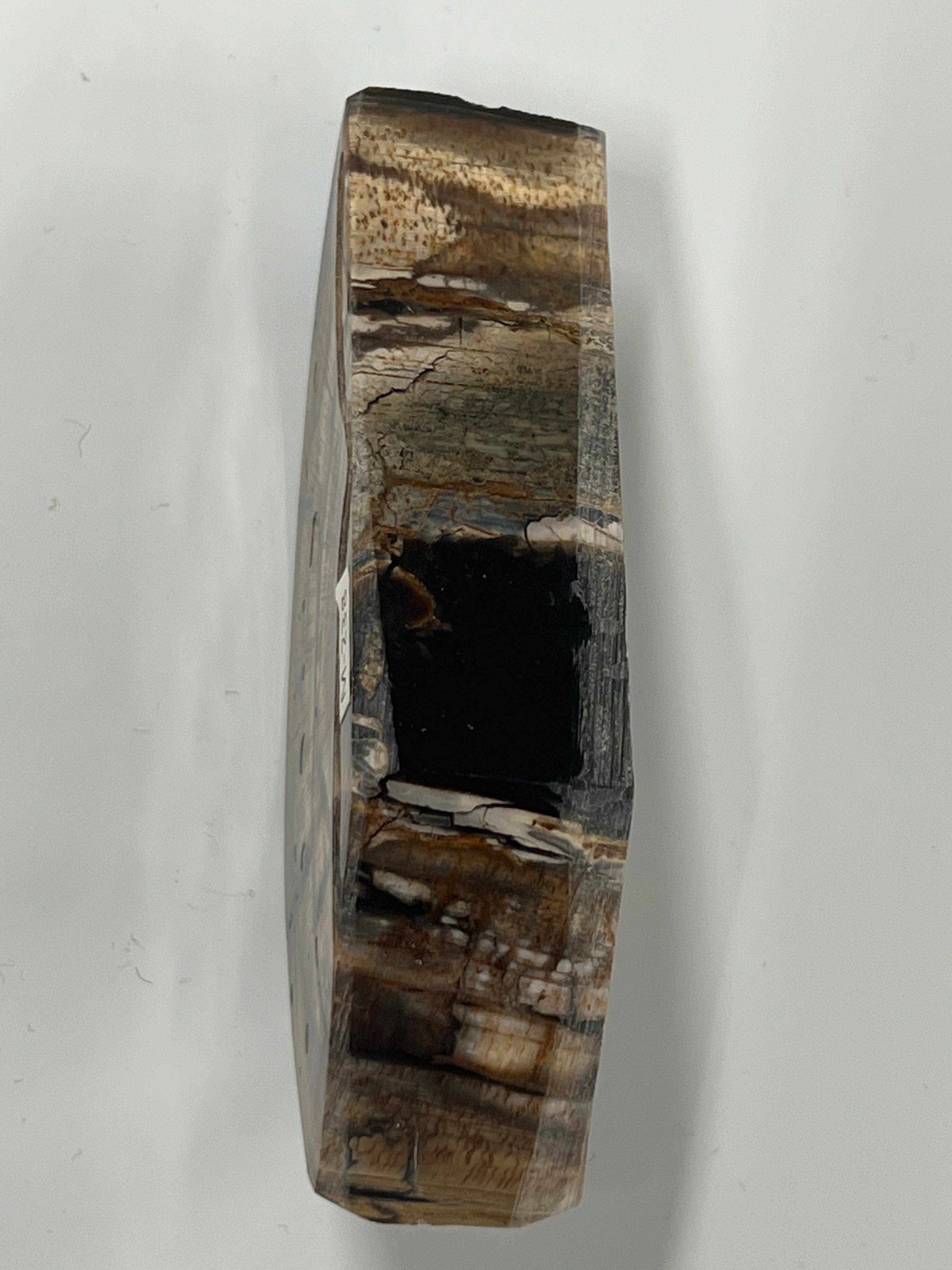 Mammutbeteämne M238