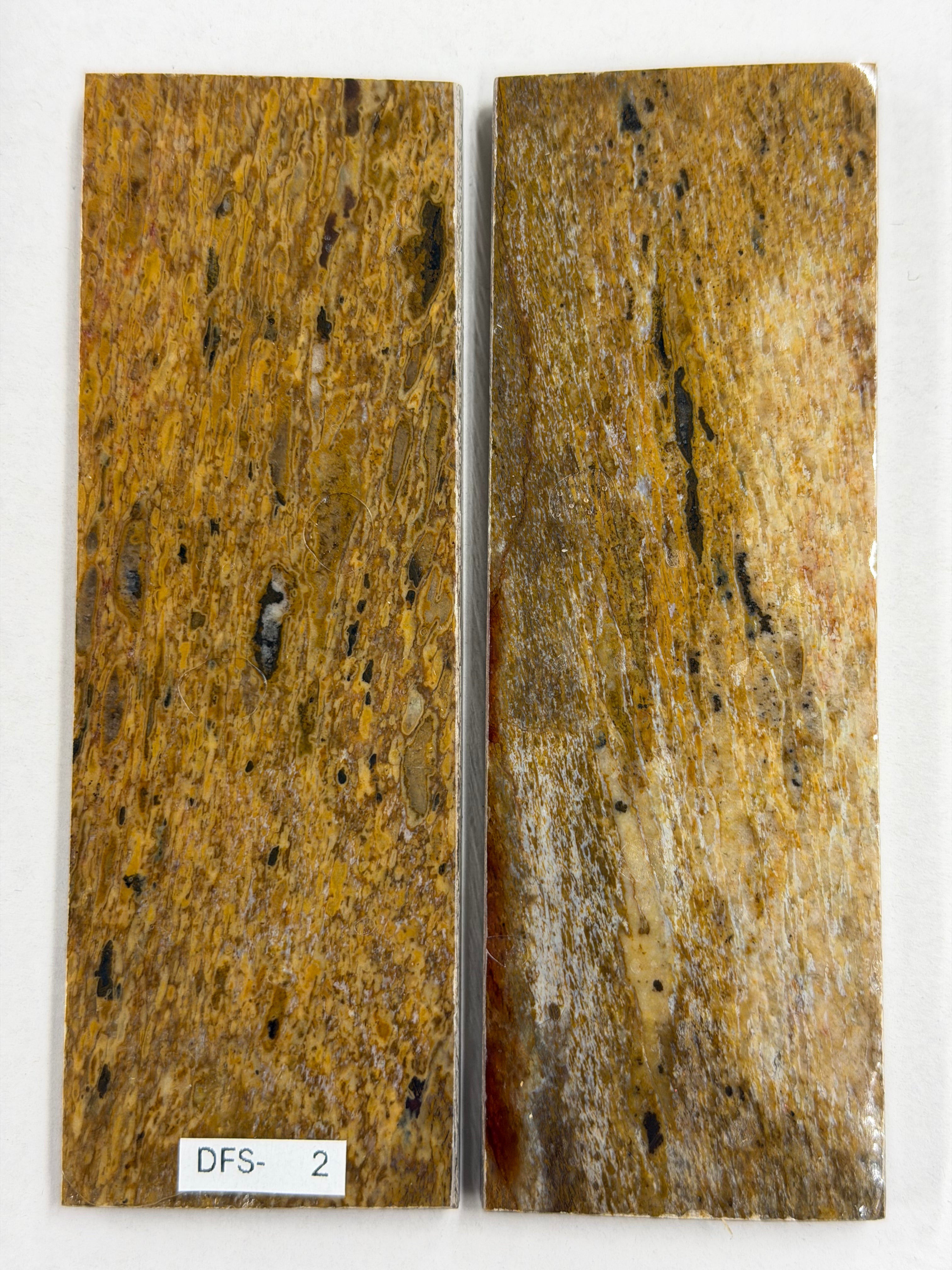 Dinosaur Fossil Skaftplatesett DFS-2