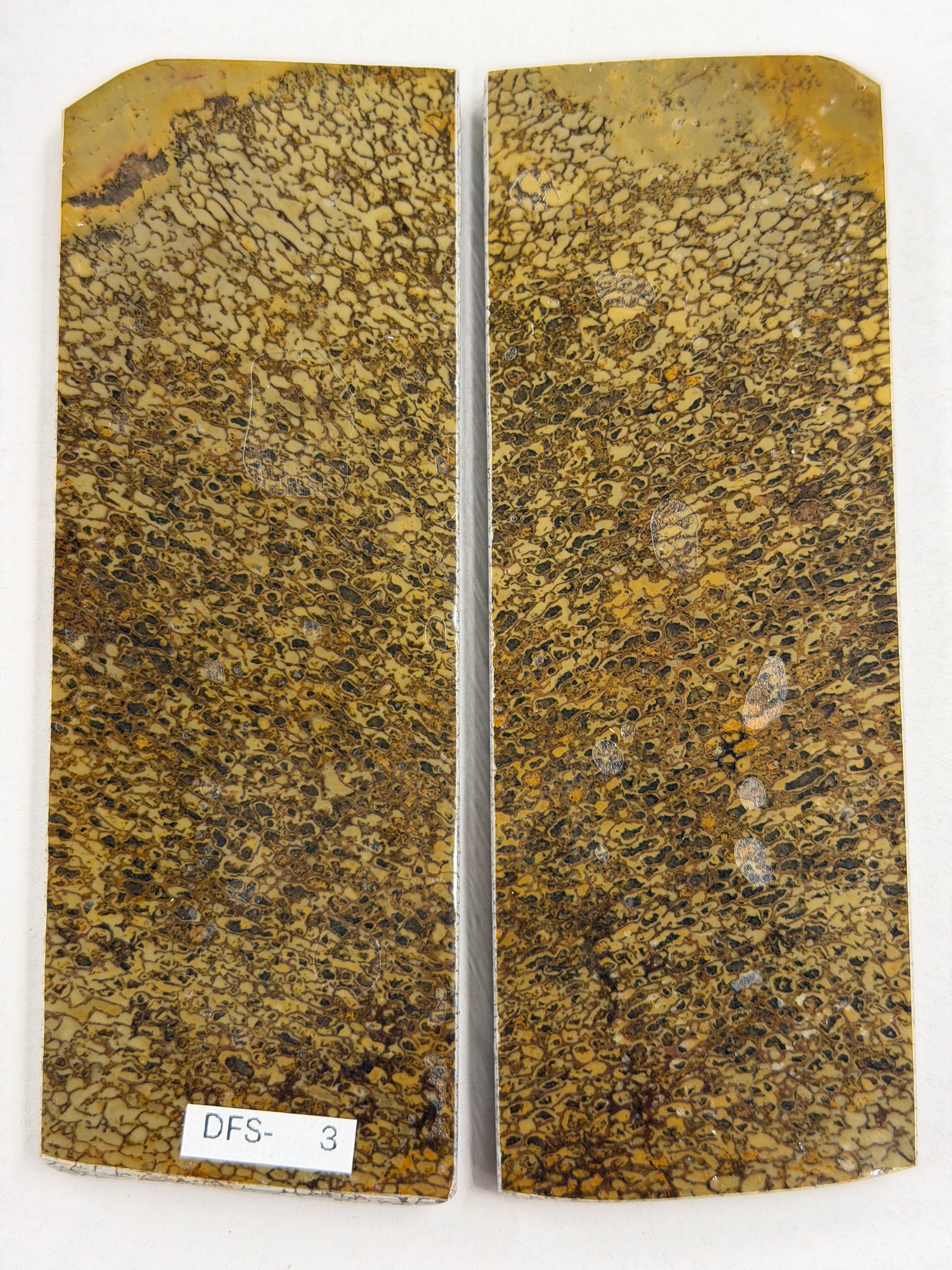 Dinosaur Fossil Skaftplatesett DFS-3