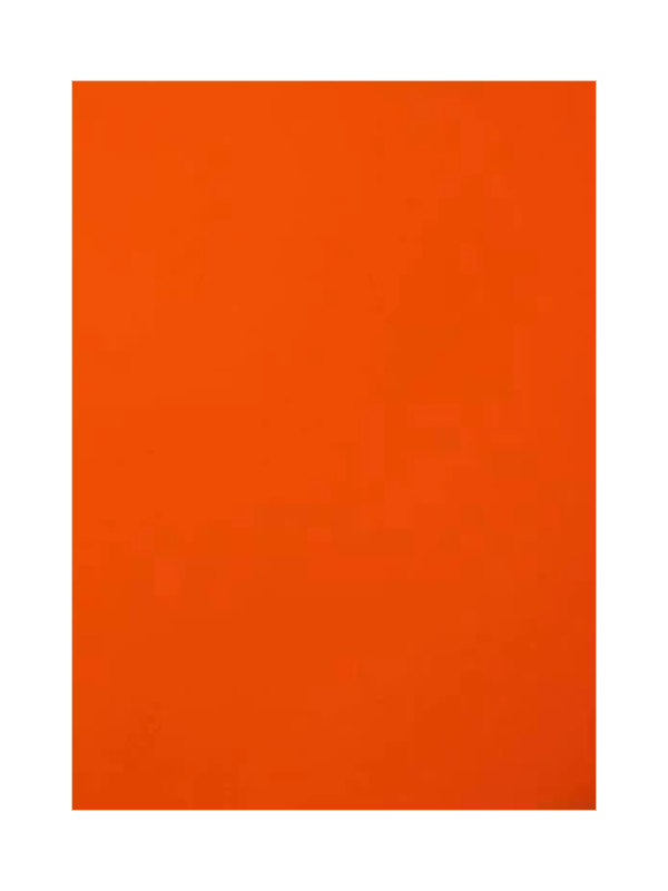 Hunter Orange Kydex