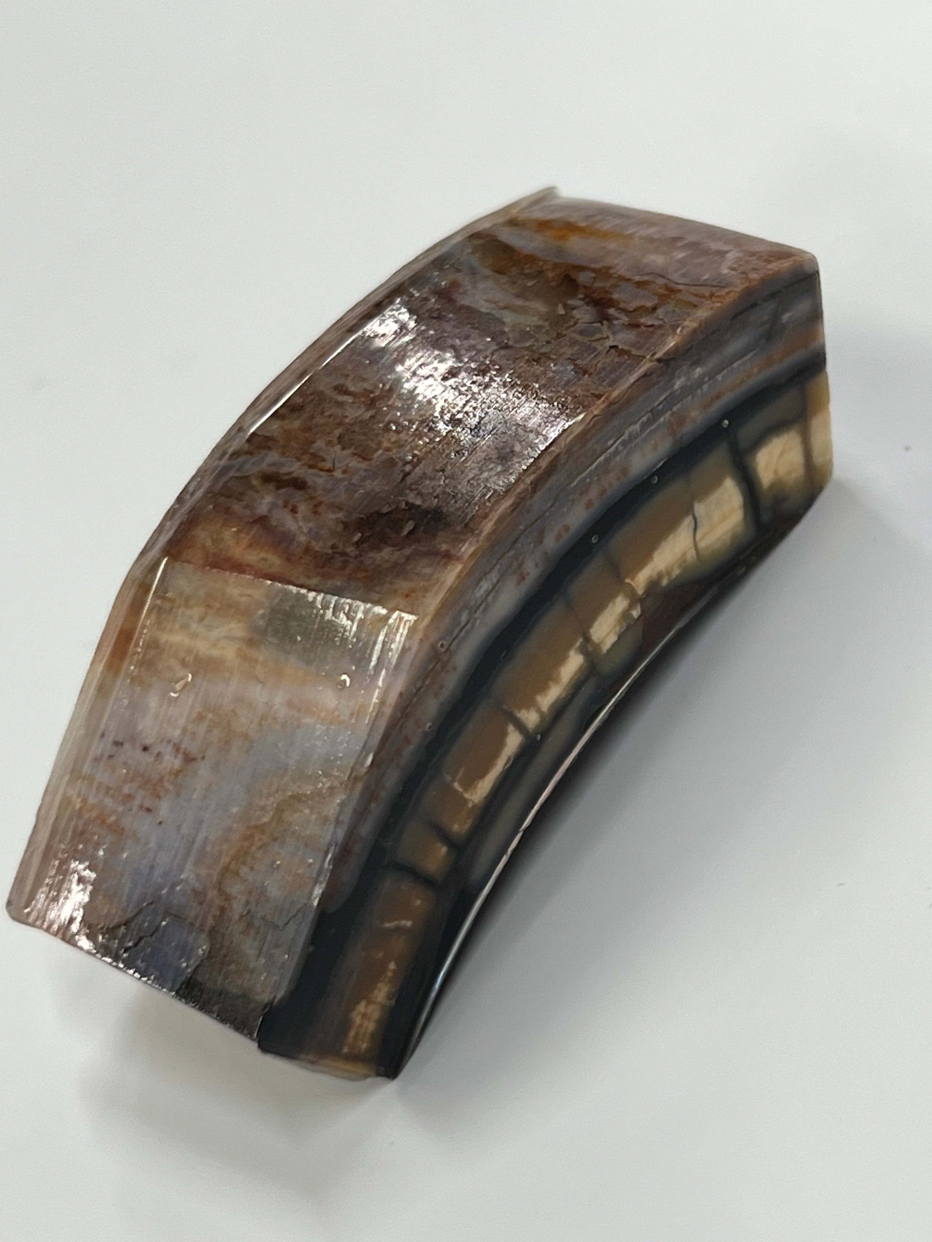 Mammutbeteämne M142