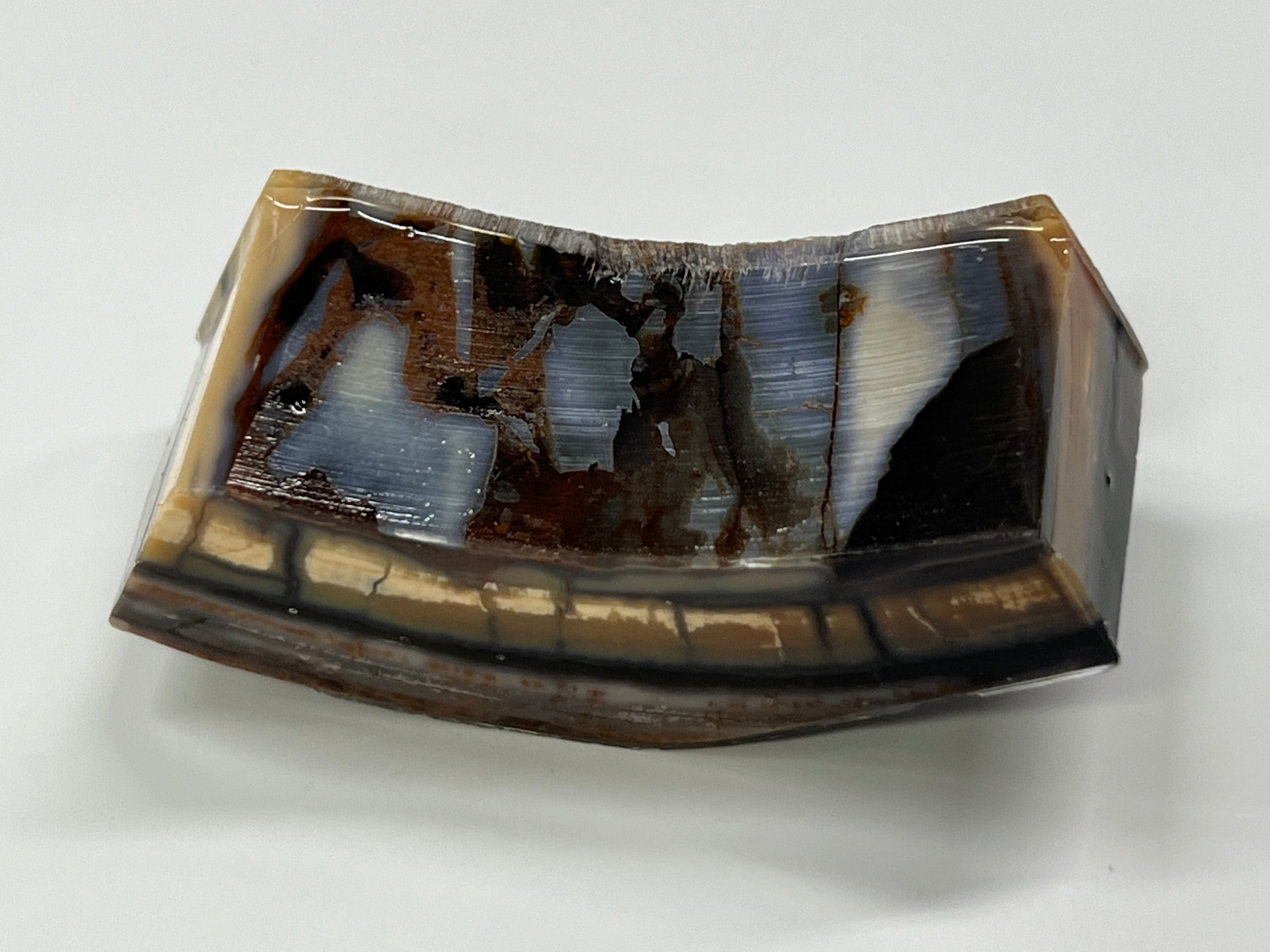 Mammutbeteämne M142