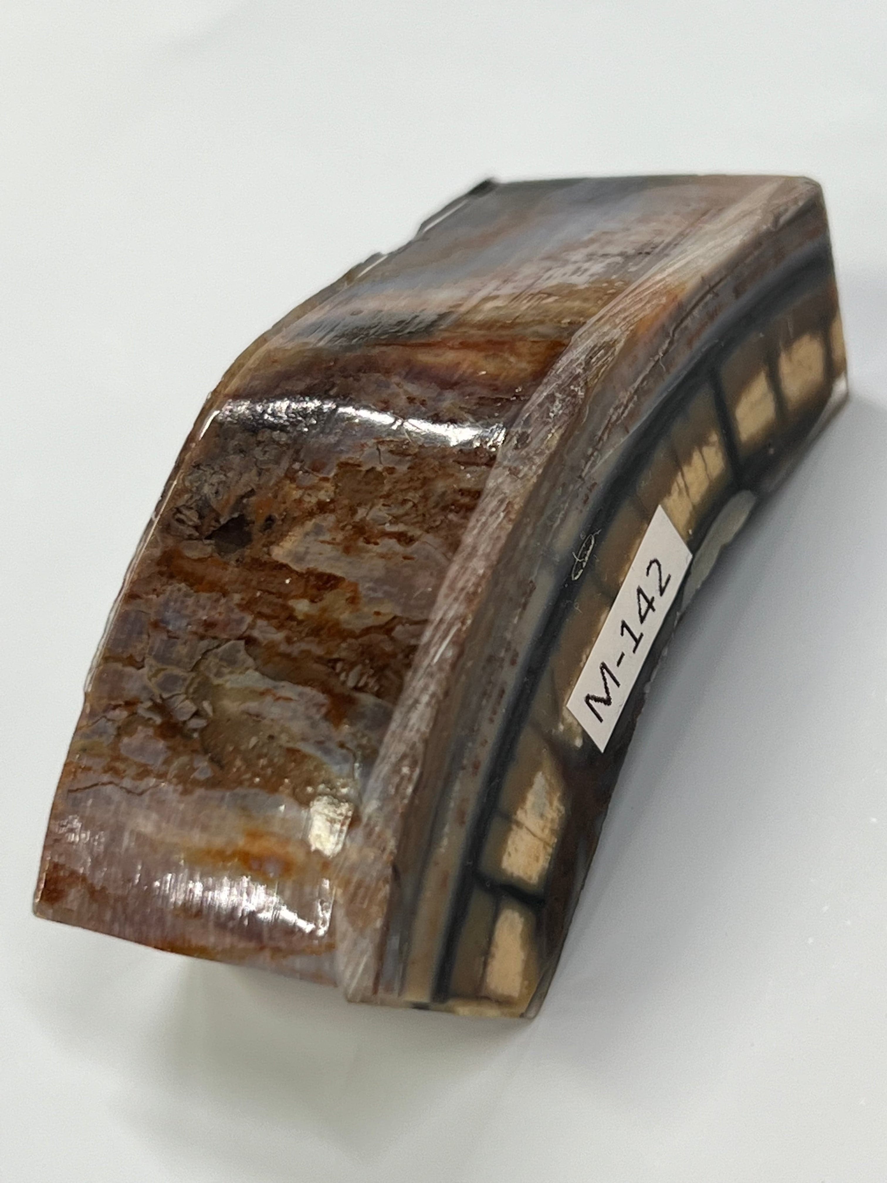 Mammutbeteämne M142