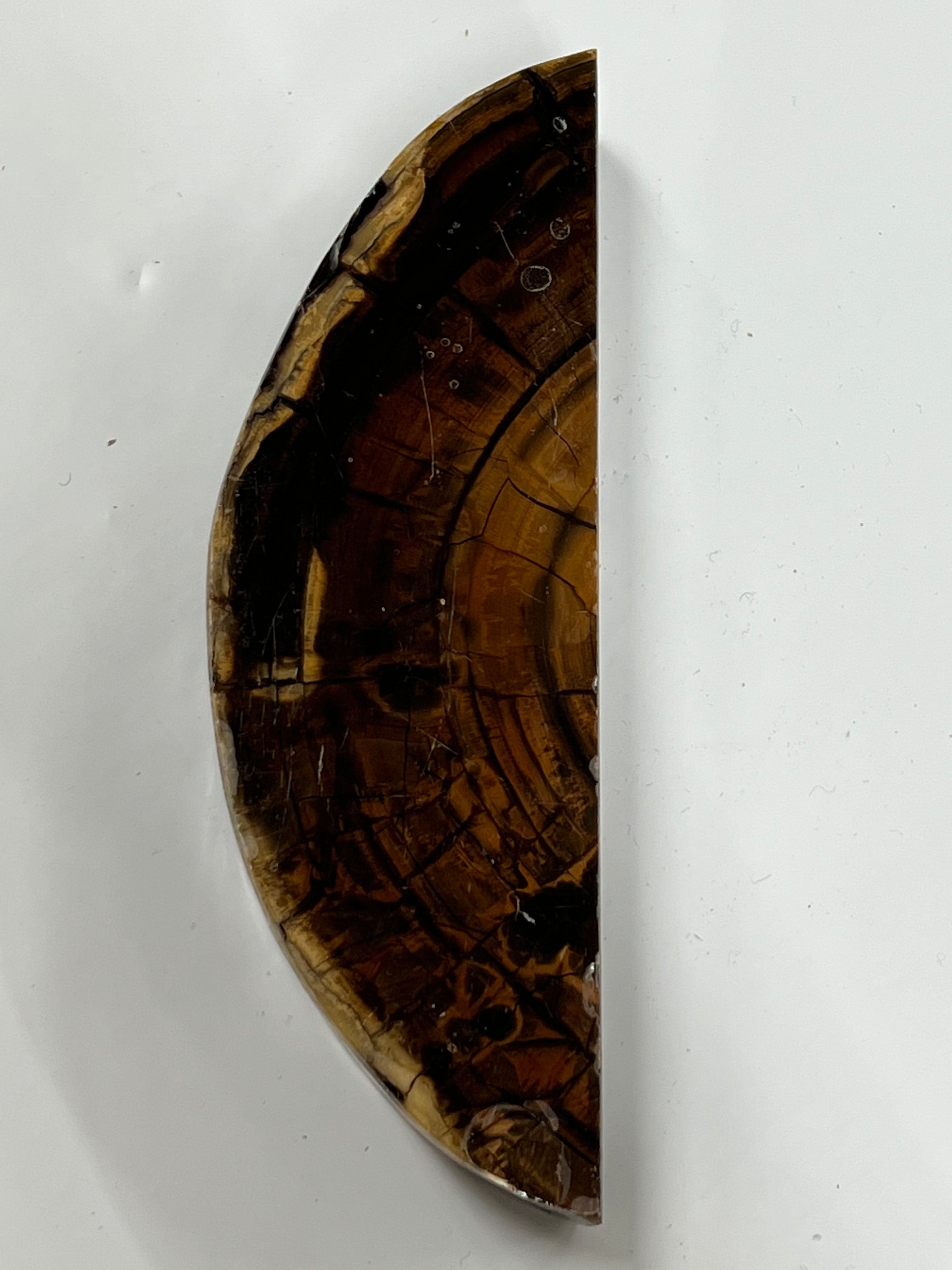 Mammutbeteämne M133