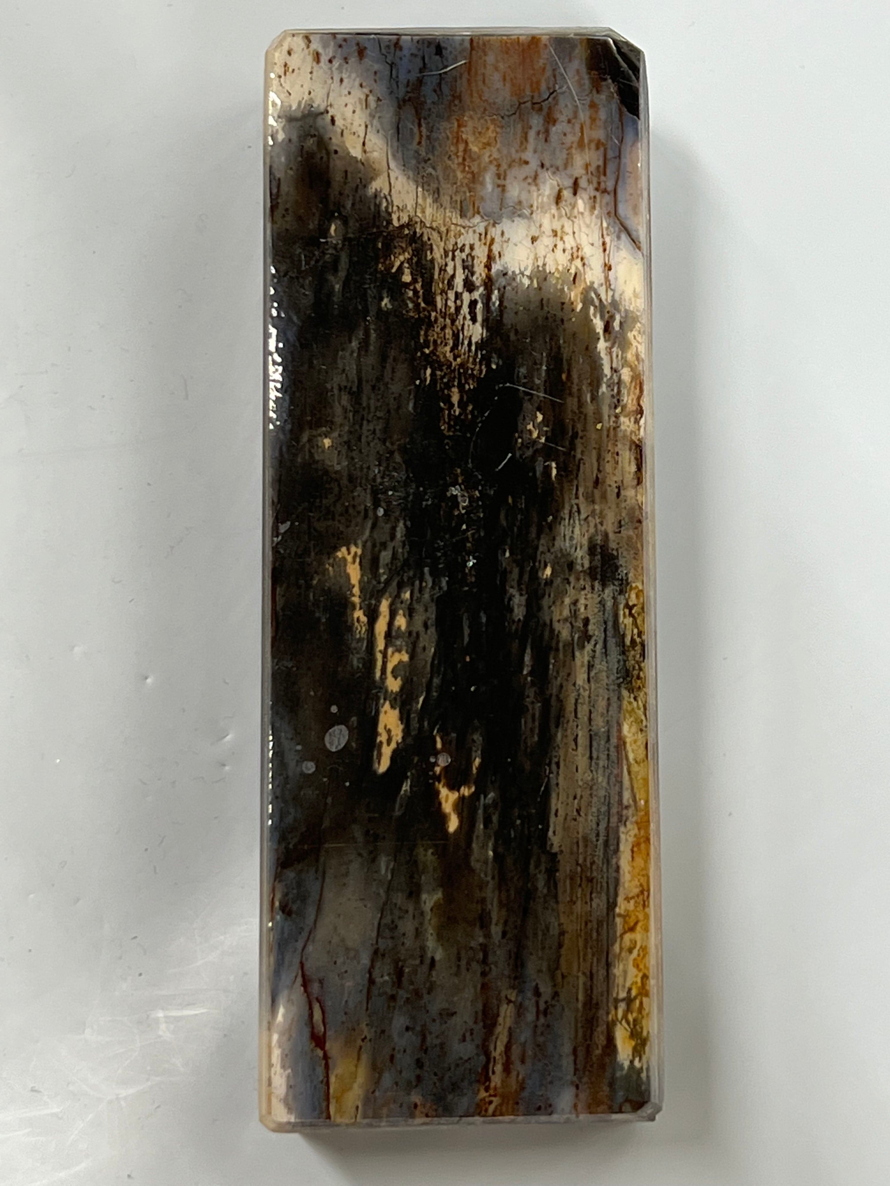 Mammut støttann skaftemne M167