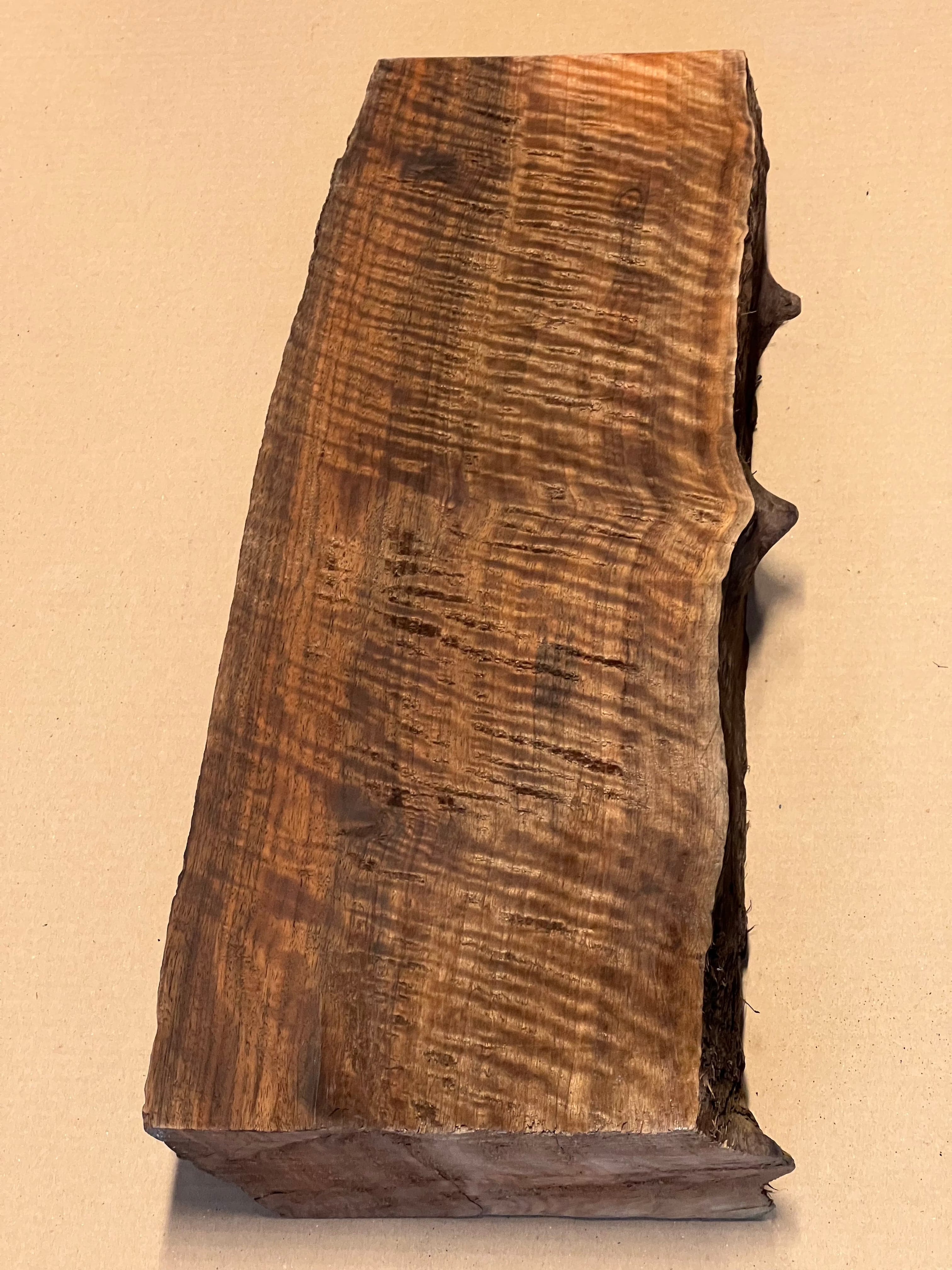 Premium valnöt stor blank VC02