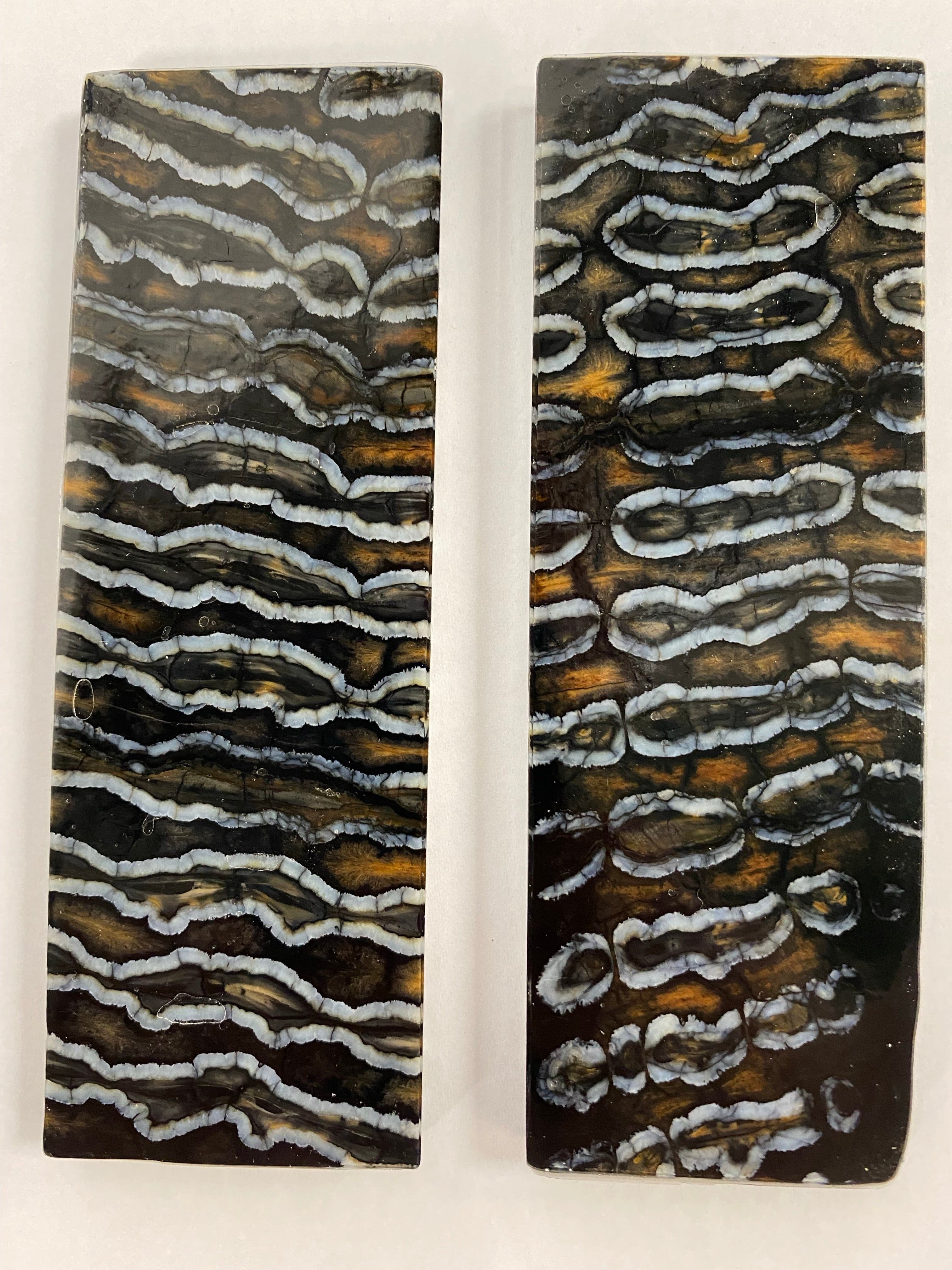 Mammut frässkaftämnen M66 (rea)