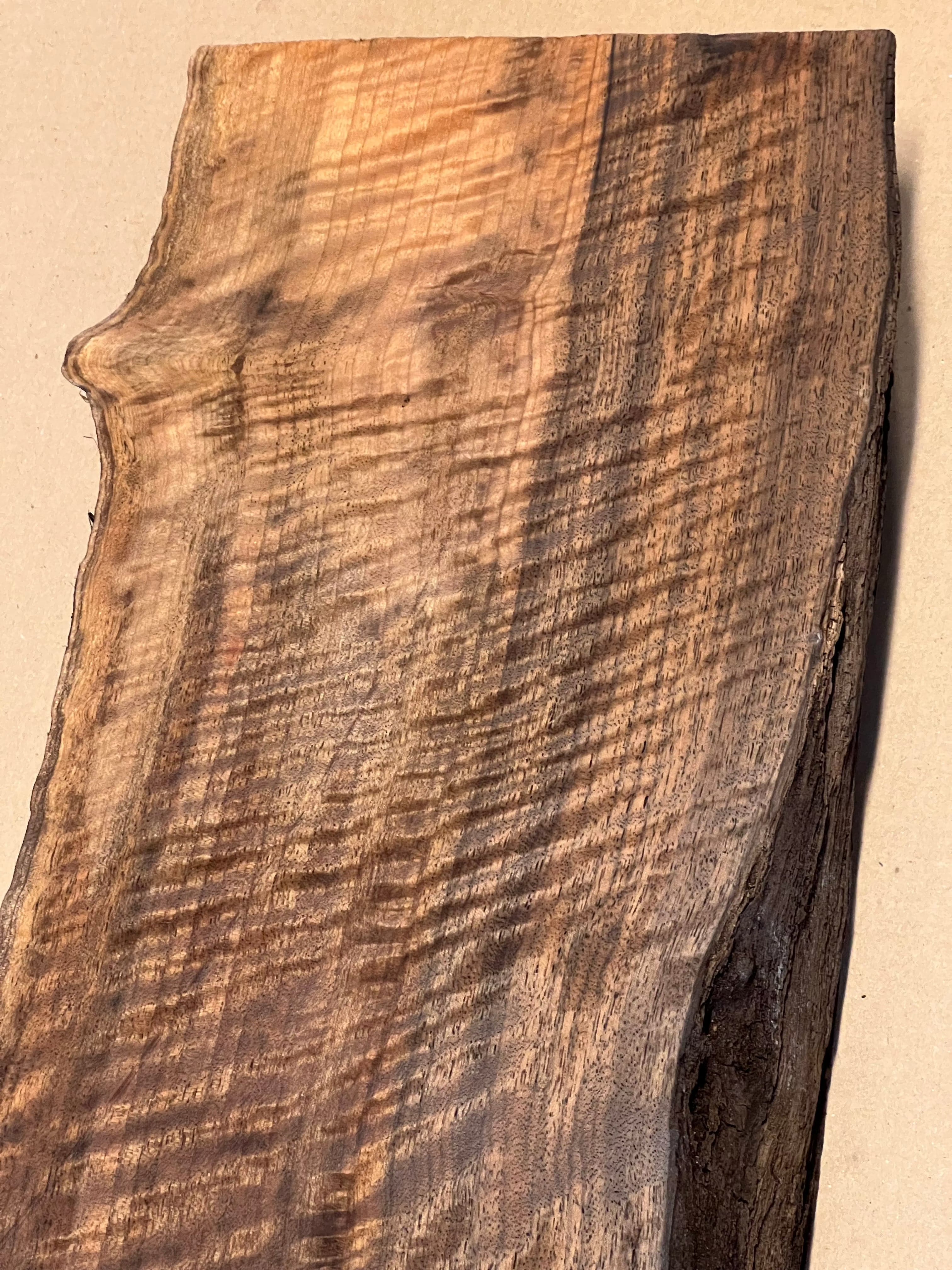 Premium valnöt stor blank VC02