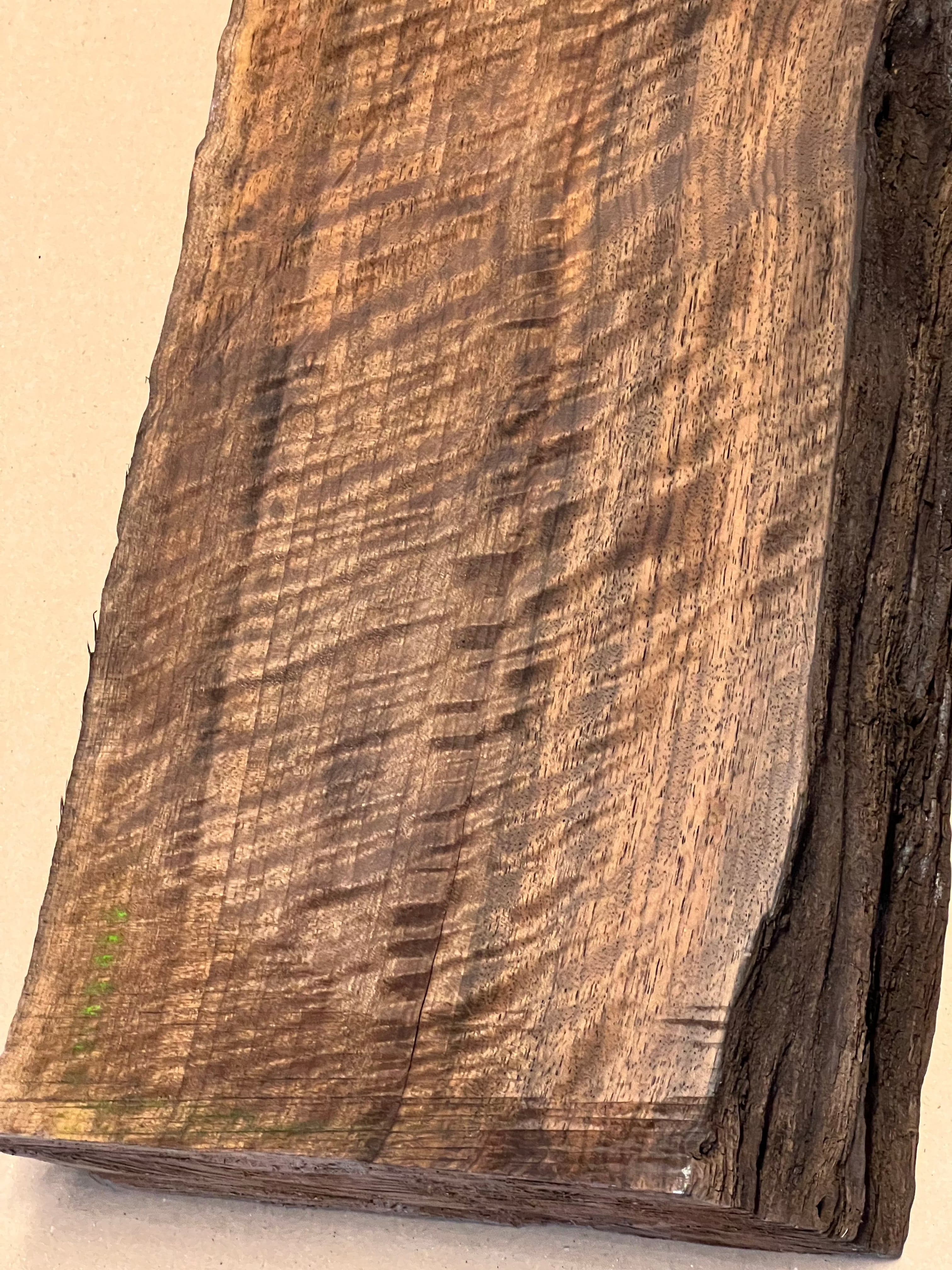 Premium valnöt stor blank VC02