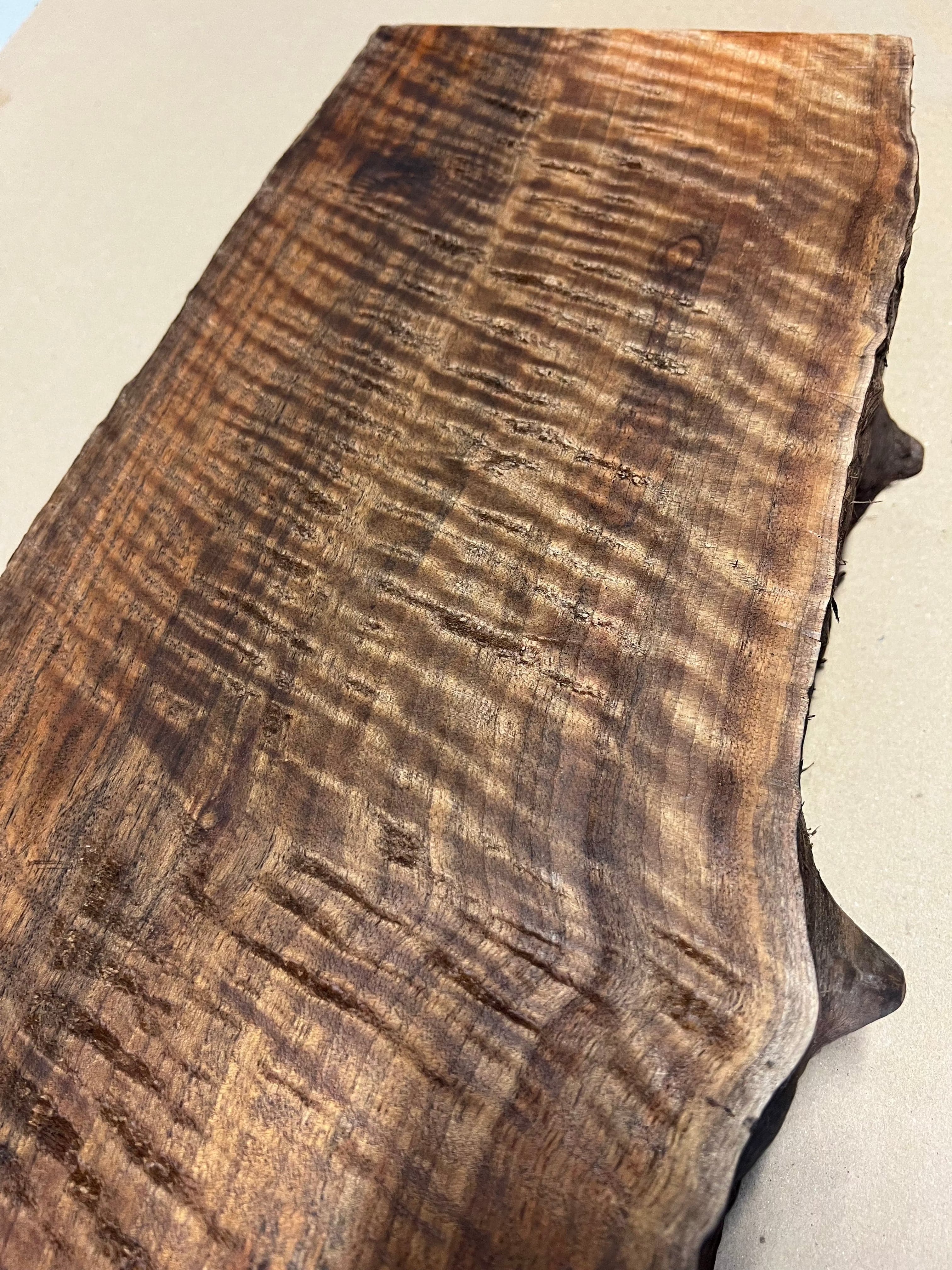 Premium valnöt stor blank VC02