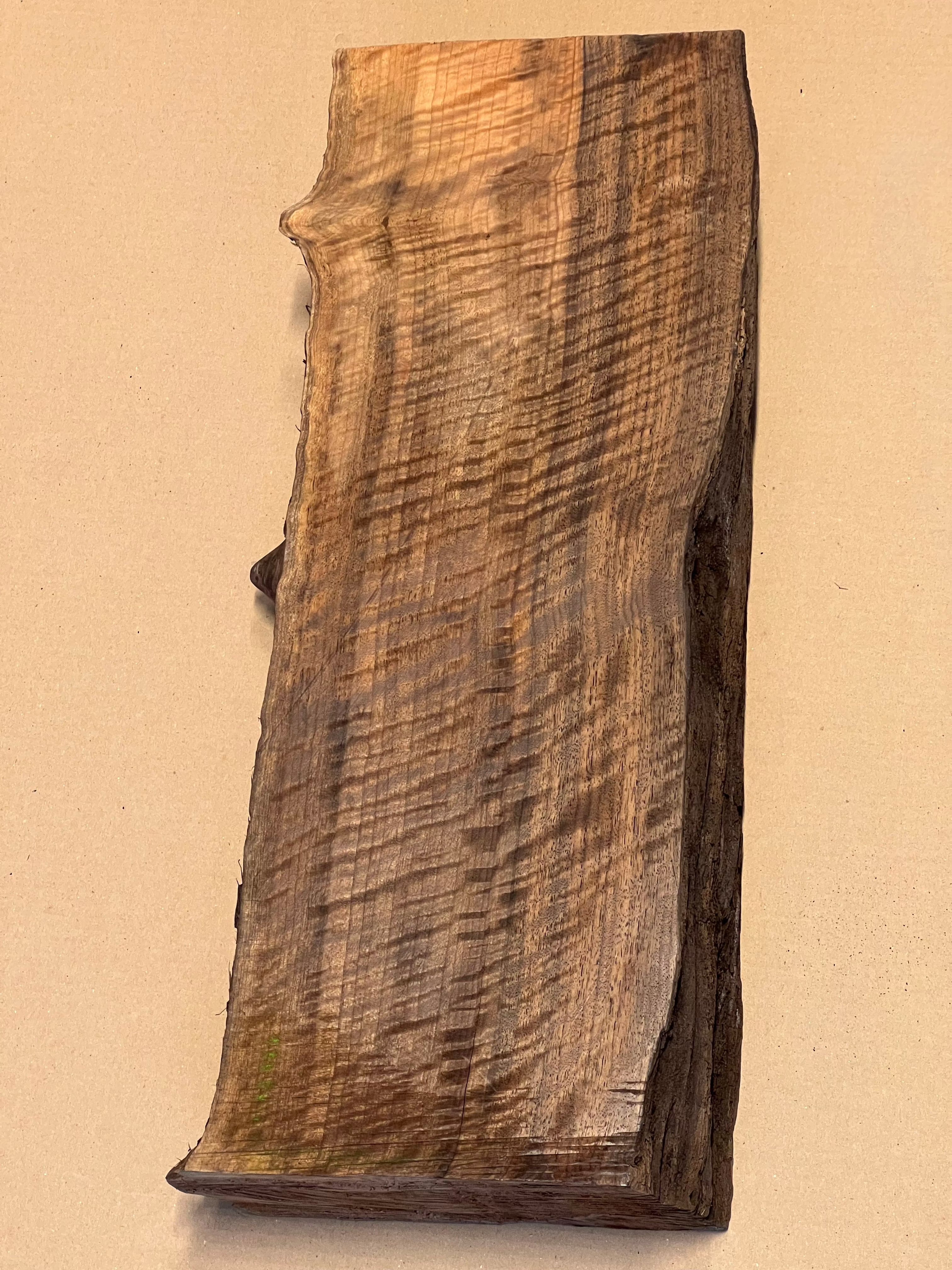 Premium valnöt stor blank VC02