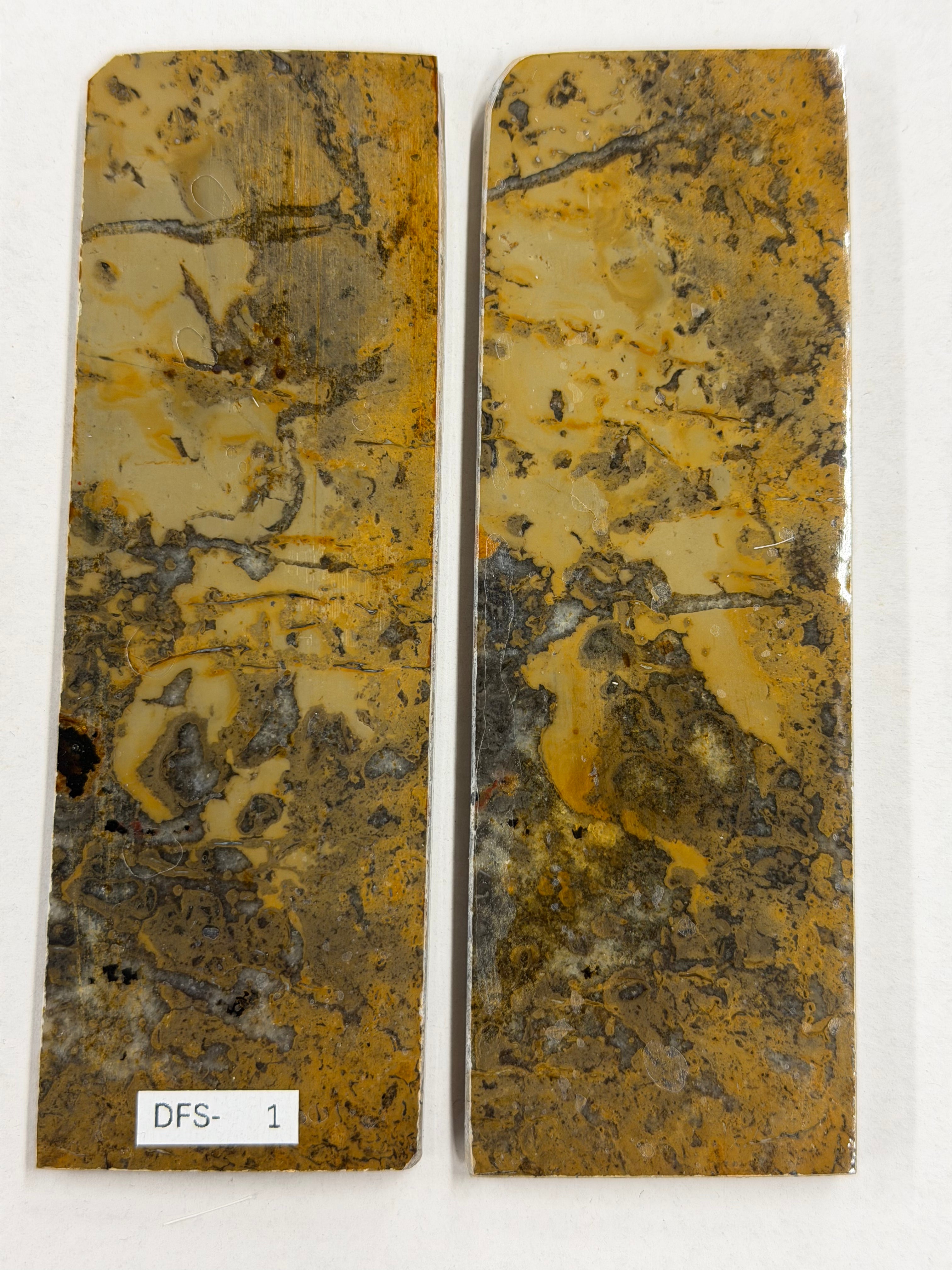 Dinosauriefossil D12