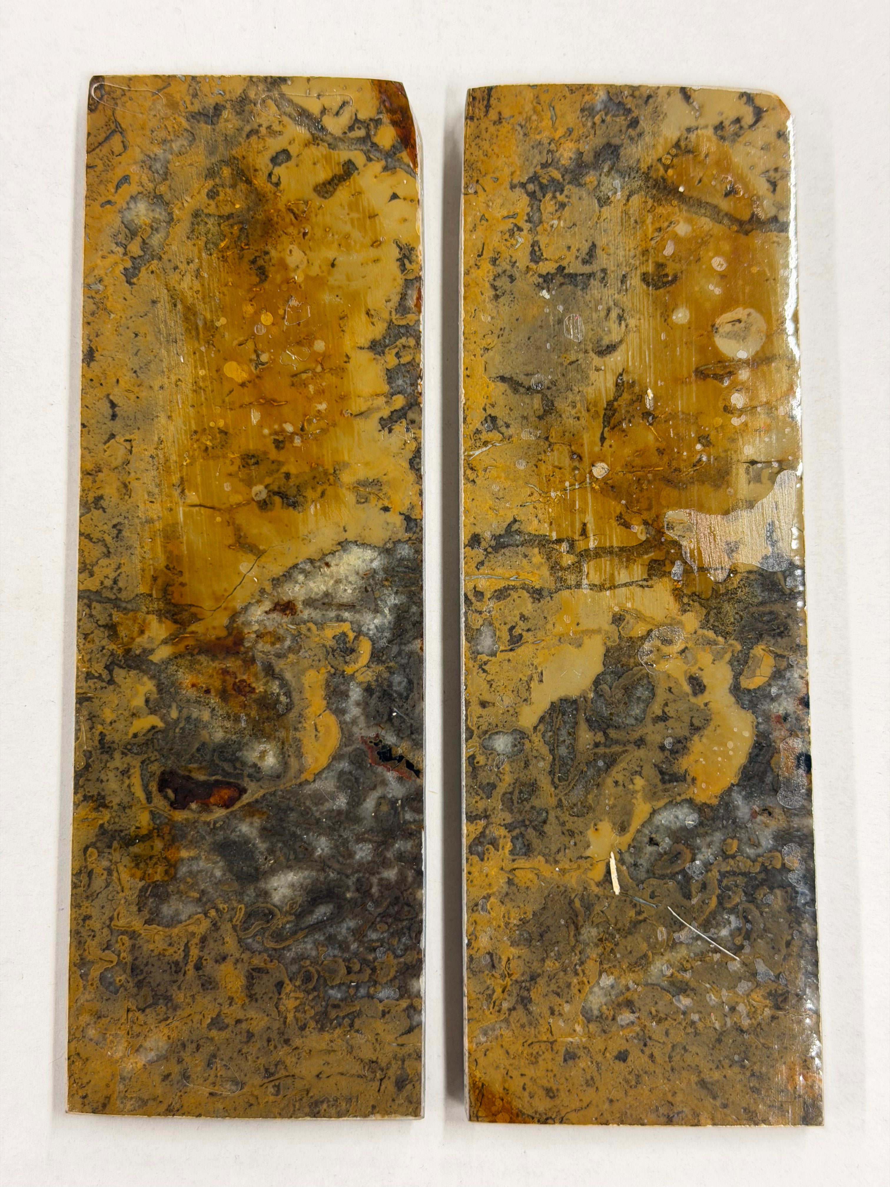 Dinosauriefossil D12