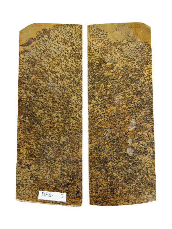 Dinosaur Fossil Skaftplatesett DFS-3