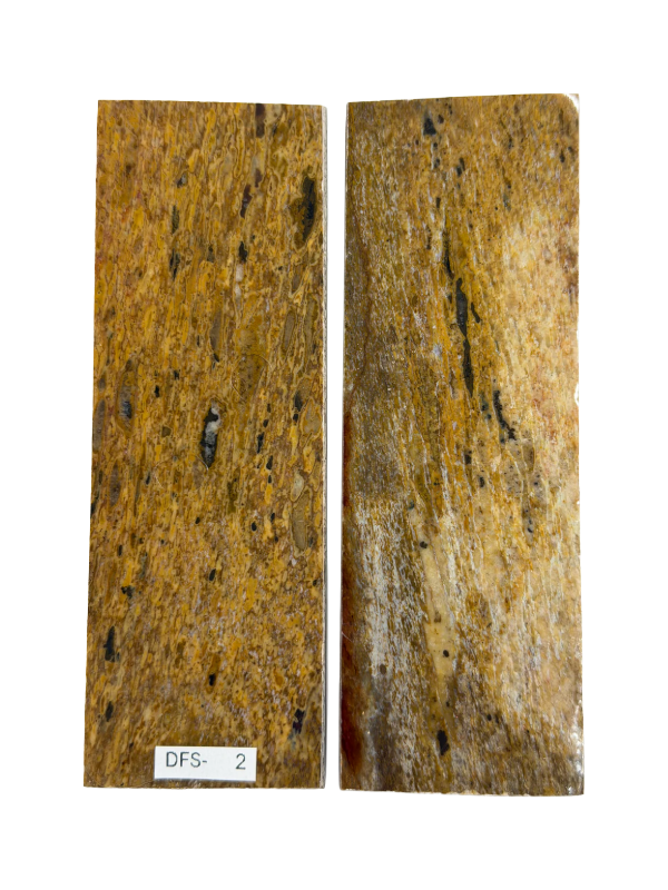 Dinosaur Fossil Skaftplatesett DFS-2